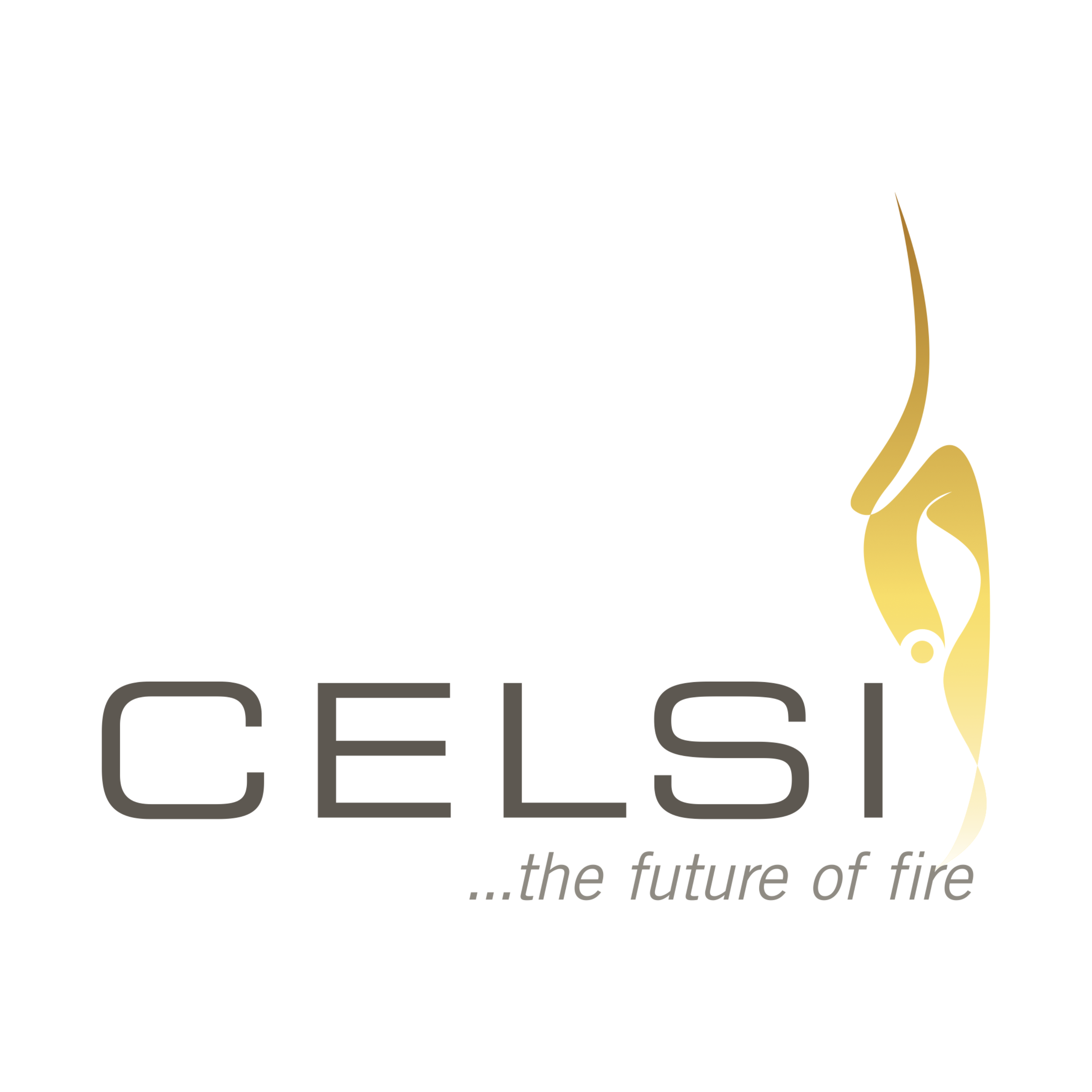 Celsi Logo For Website Square.png