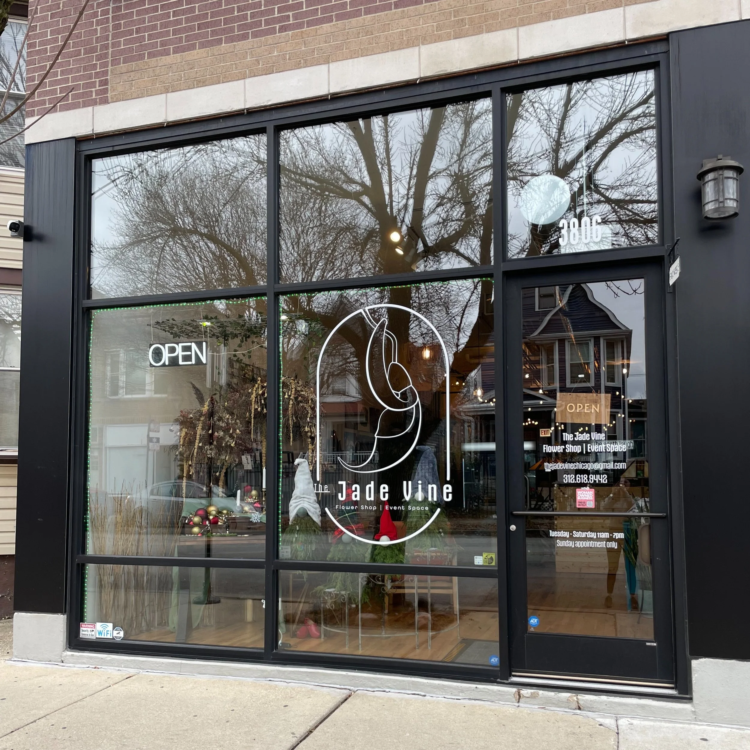 Contact Us — The Jade Vine