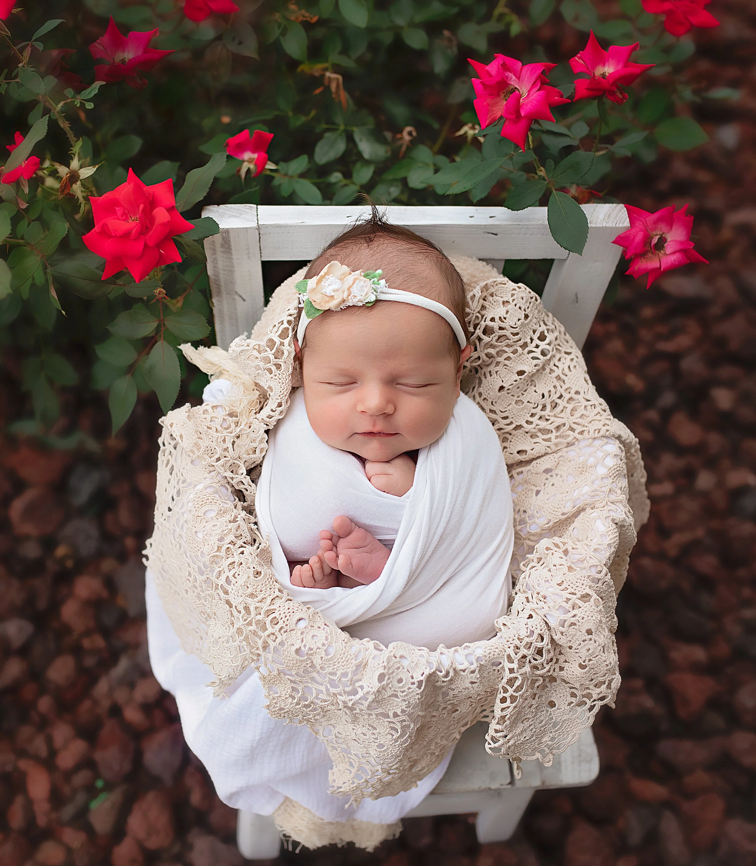 20221015-DSC_3683-Edit-Edit.jpg