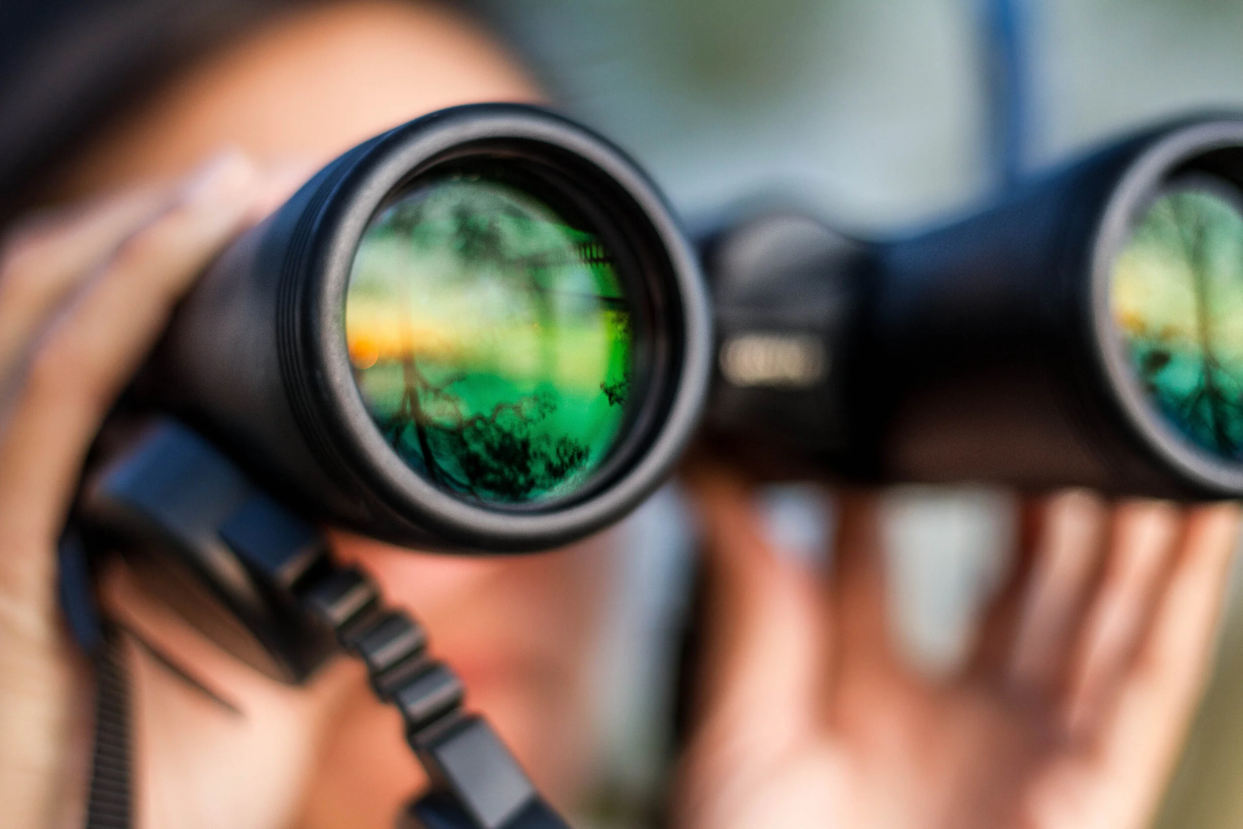 searching-1.jpg