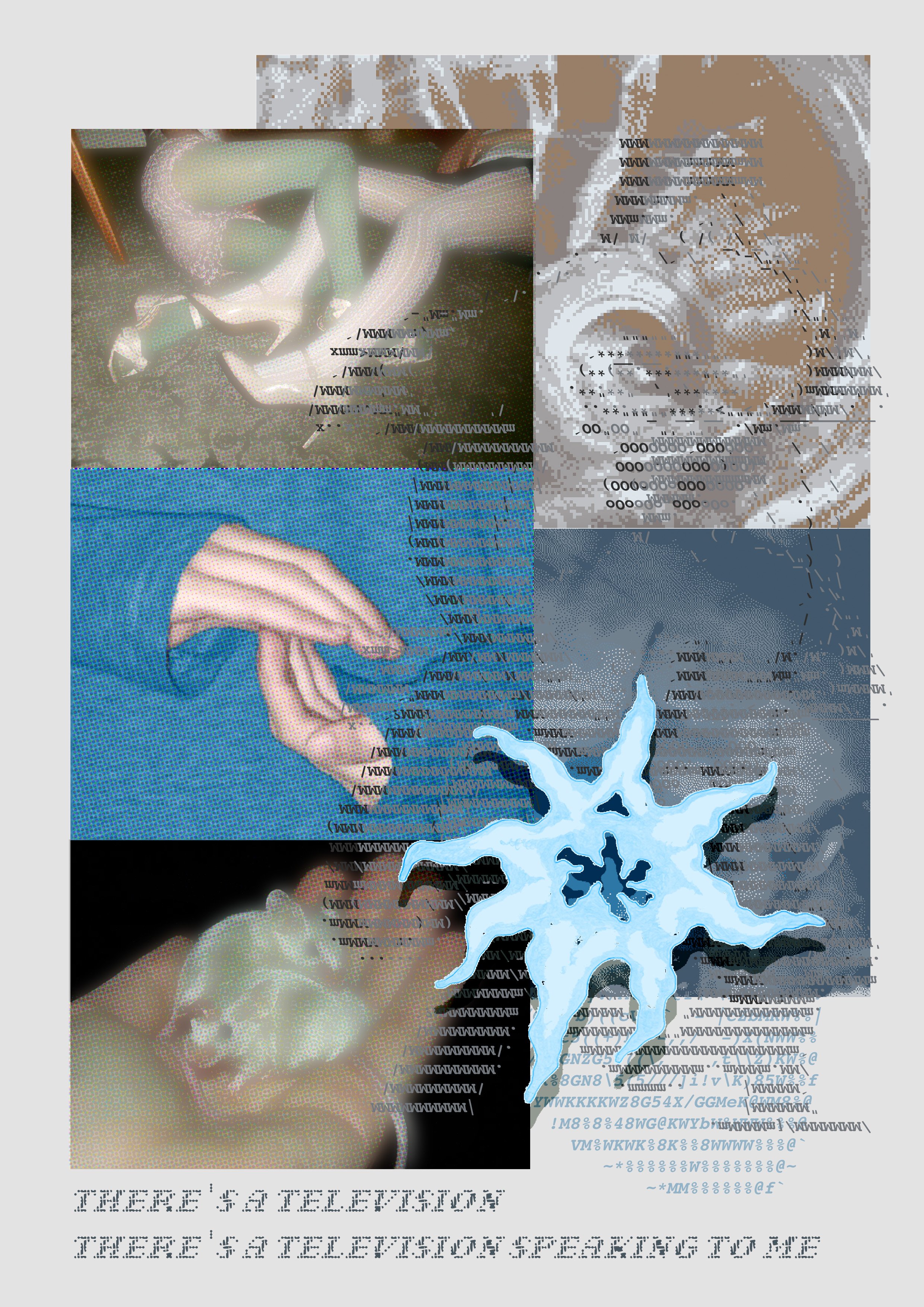 mice.jpg