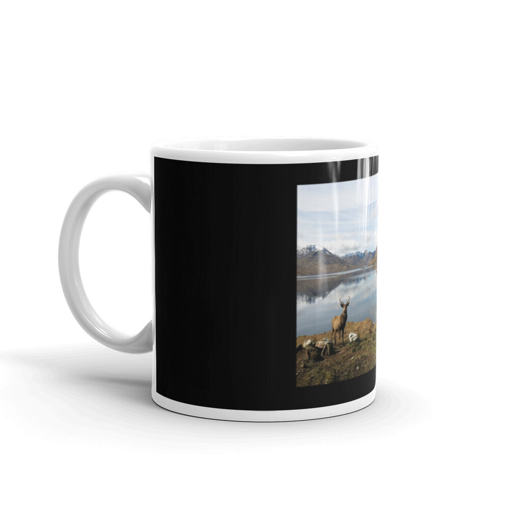 white-glossy-mug-11oz-handle-on-left-603ccf06da1c3.jpg