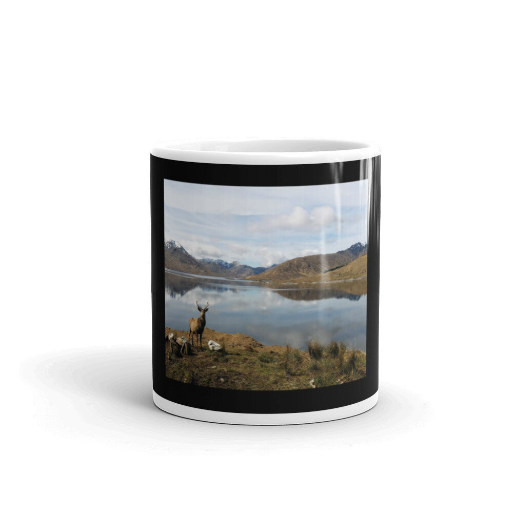 white-glossy-mug-11oz-front-view-603ccf06da1f9.jpg