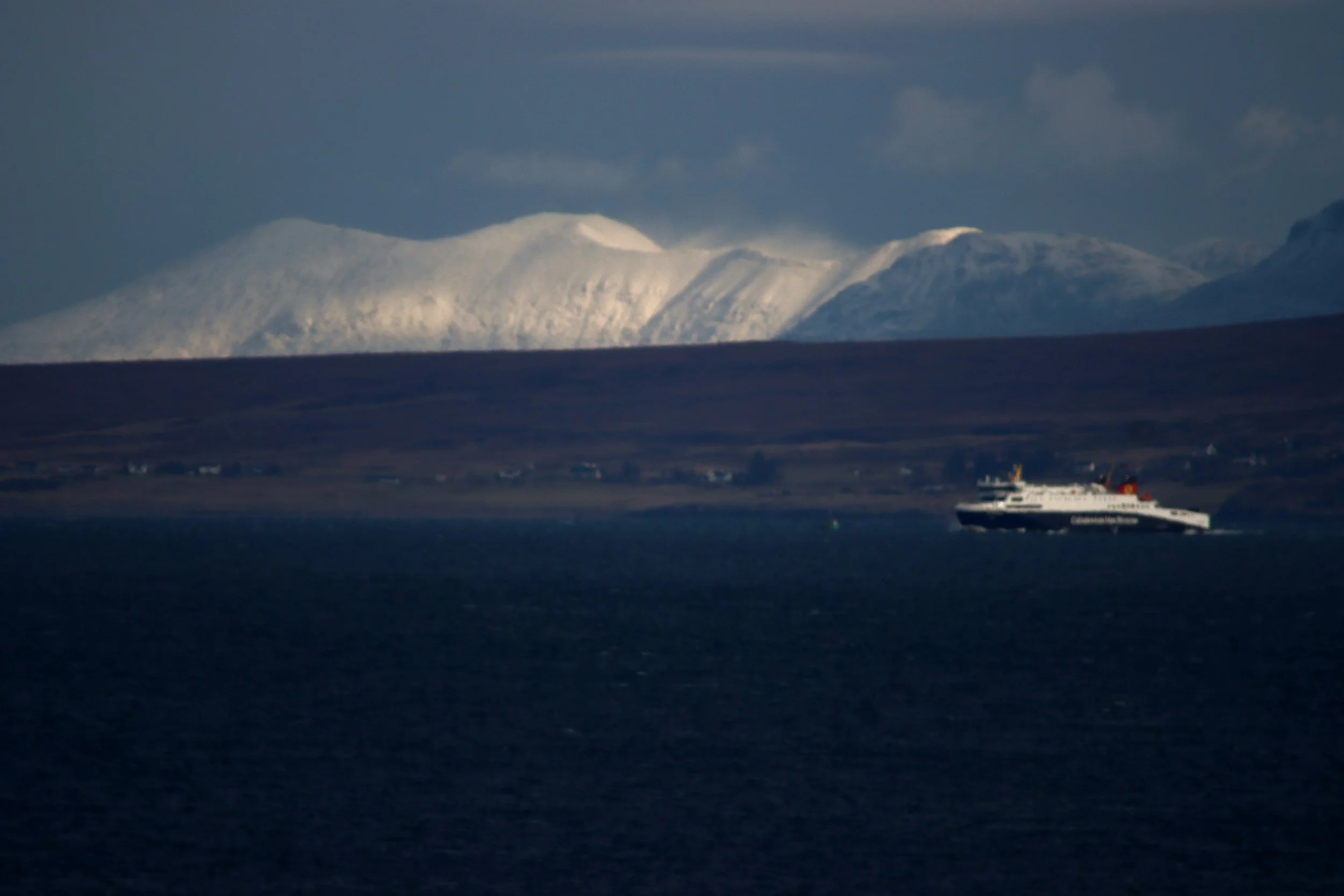 February 2026 in Pictures