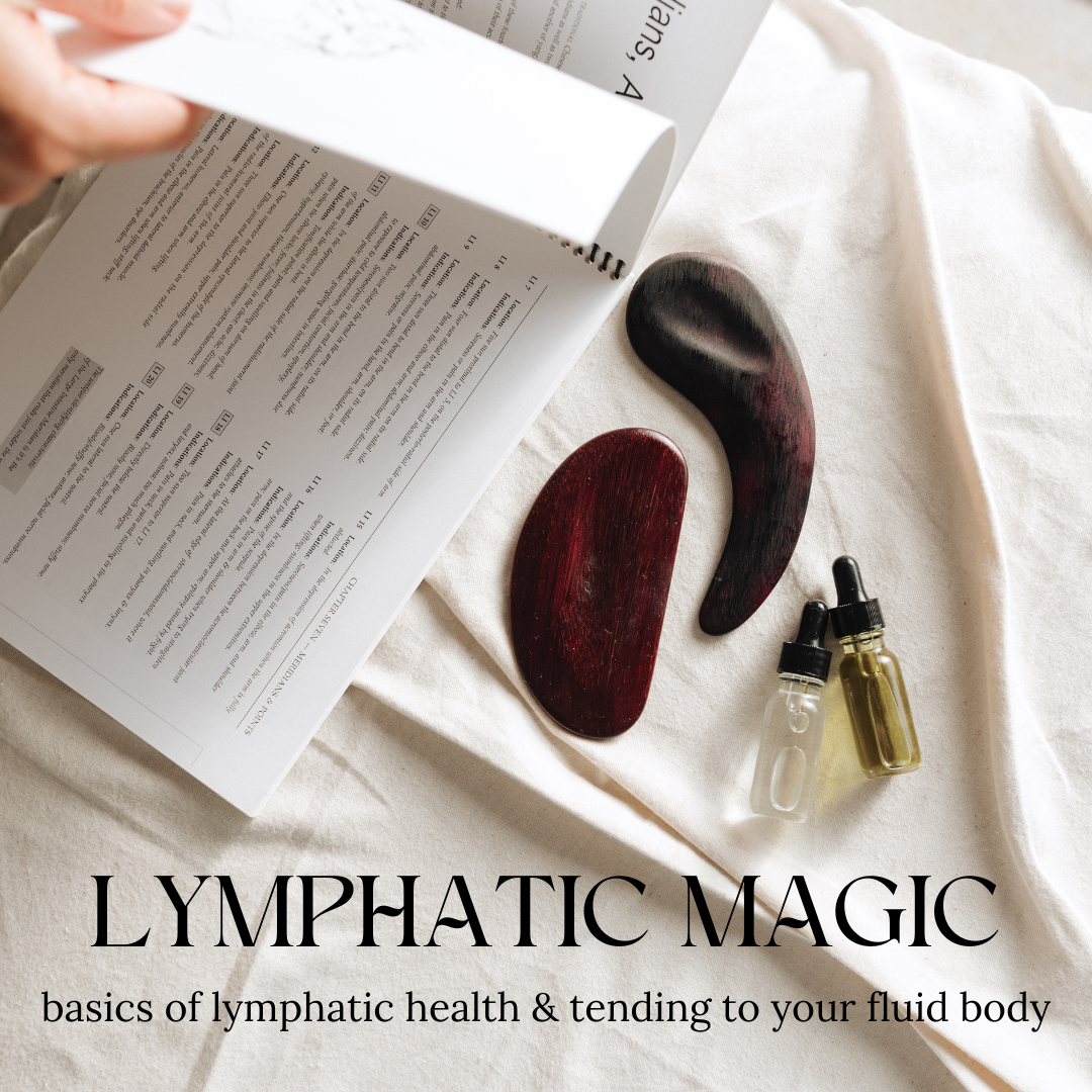 LYMPHATIC MAGIC: basics of lymphatic health 