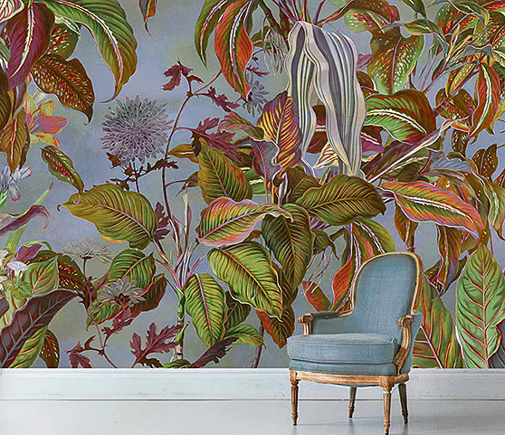 LOOK WALLS