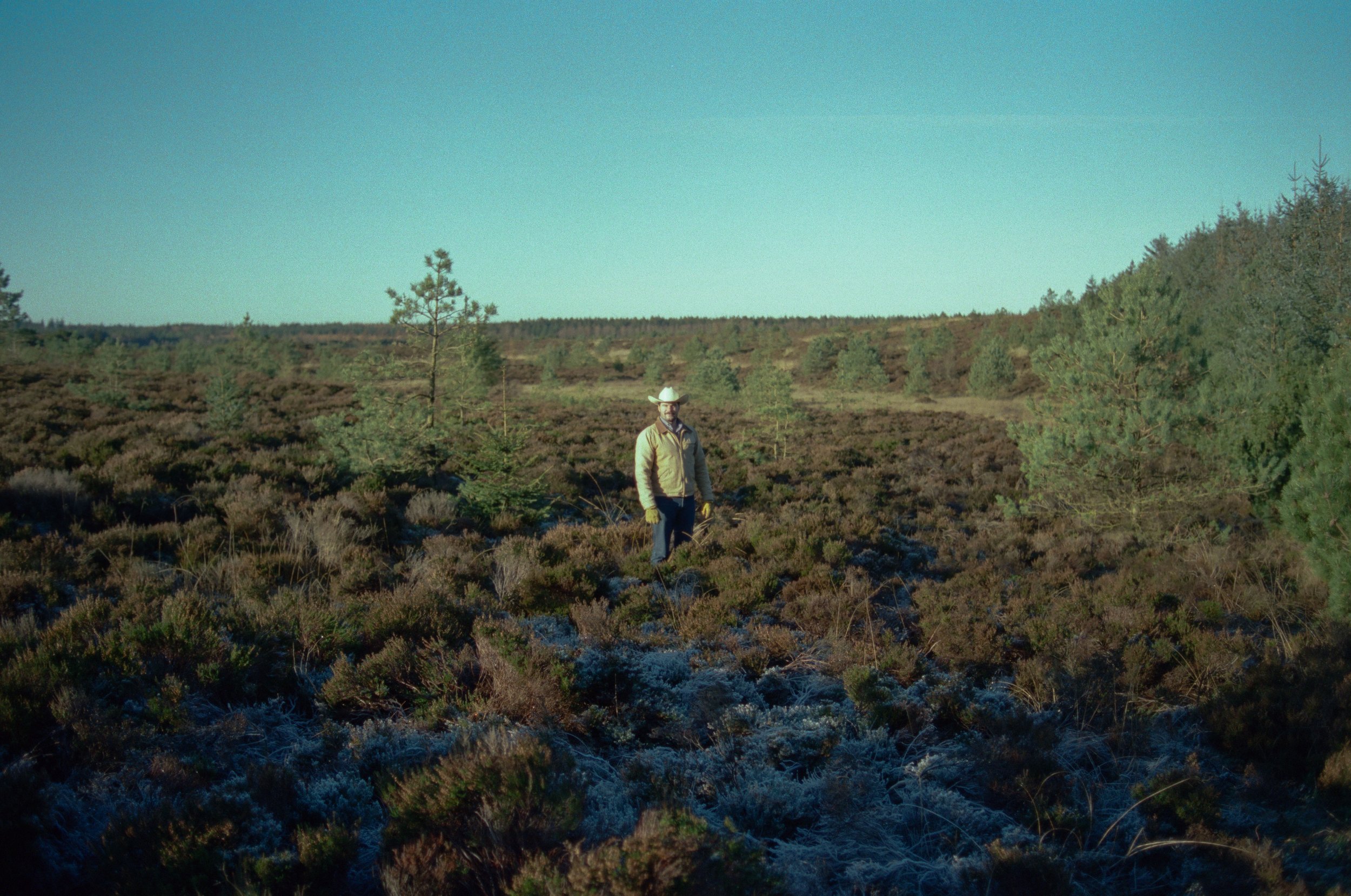 December 2025 - Kodak 500T V3 - Nikon F4 8.jpg