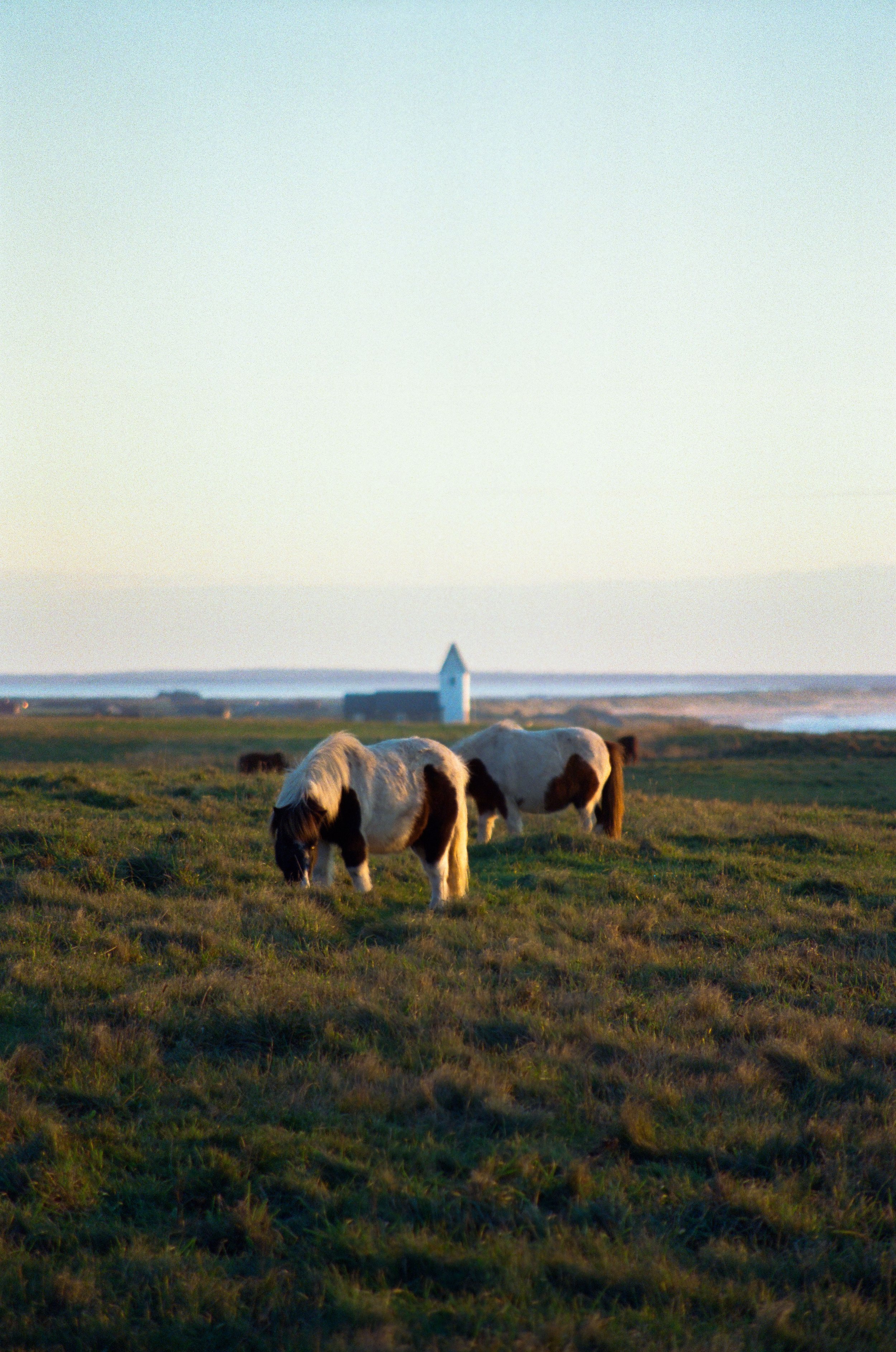 December 2025 - Kodak 500T V3 - Nikon F4 18.jpg