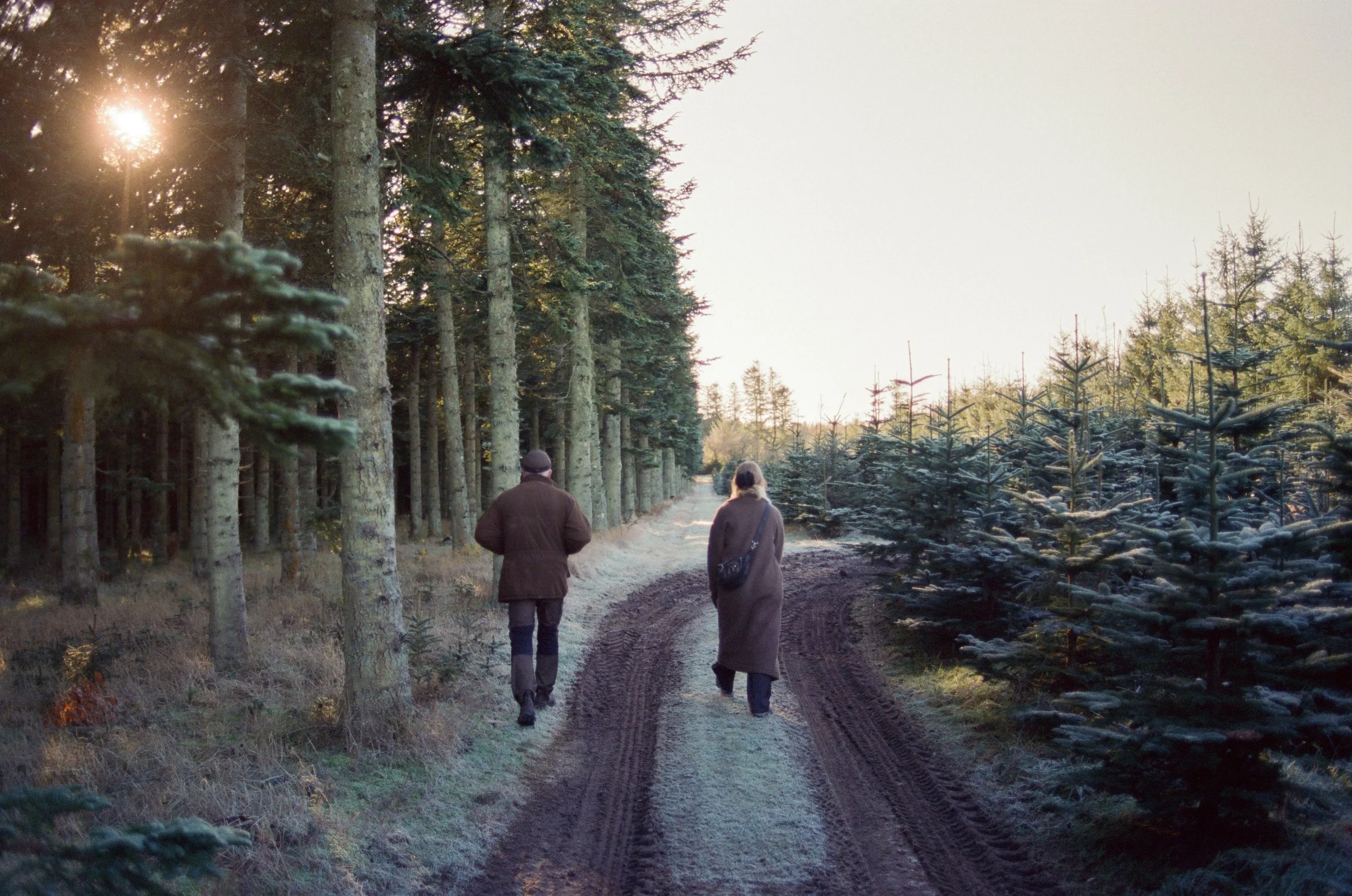 December 2025 - Kodak 500T V3 - Nikon F4 5.jpg