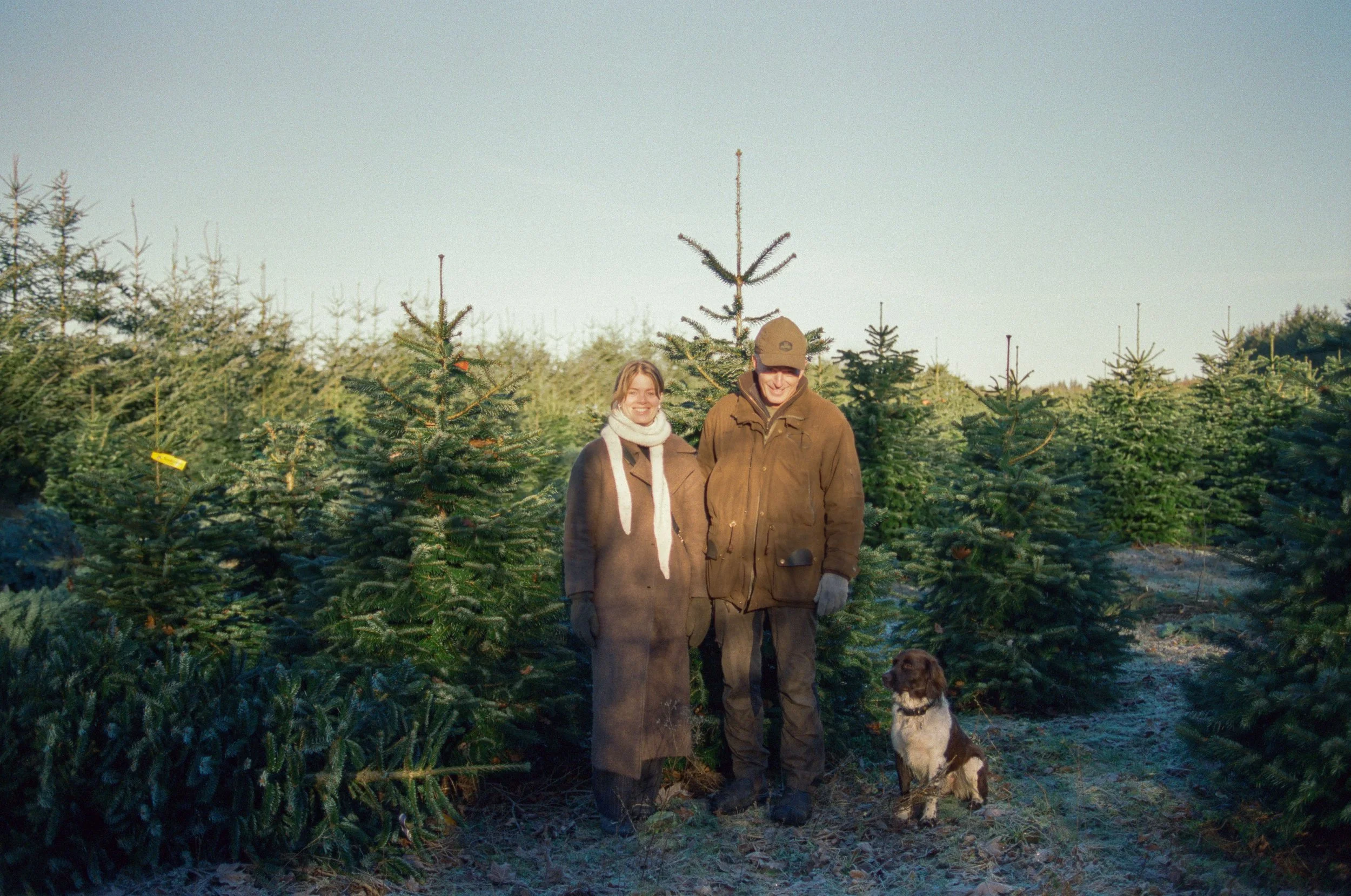 December 2025 - Kodak 500T V3 - Nikon F4 7.jpg