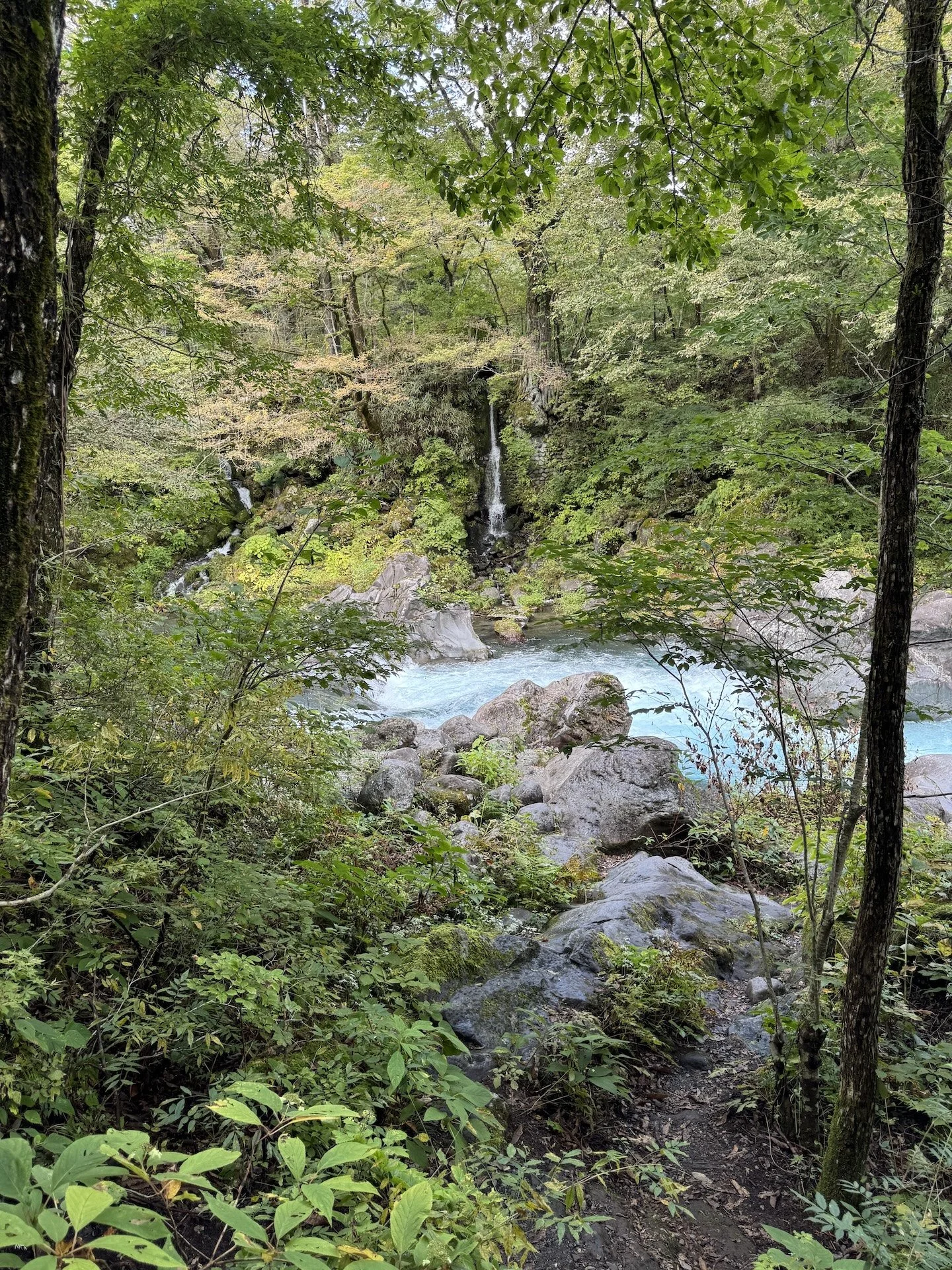 A mountain stream among rocks and trees in Nikko, Japan.