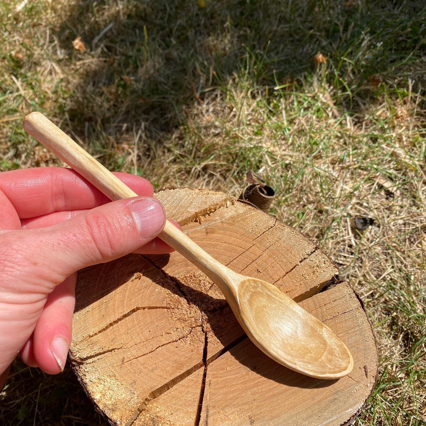 A simple Paper birch eating spoon. Unfortunately I found a crack during finishing cuts 😢. Time to make another!
.
.
.
.
.
#sloyd #woodworking #sloydwoodworking #sloydwoodcarving #crafting #pnw #bellingham #washington #sustainableharvest #bushcraft #