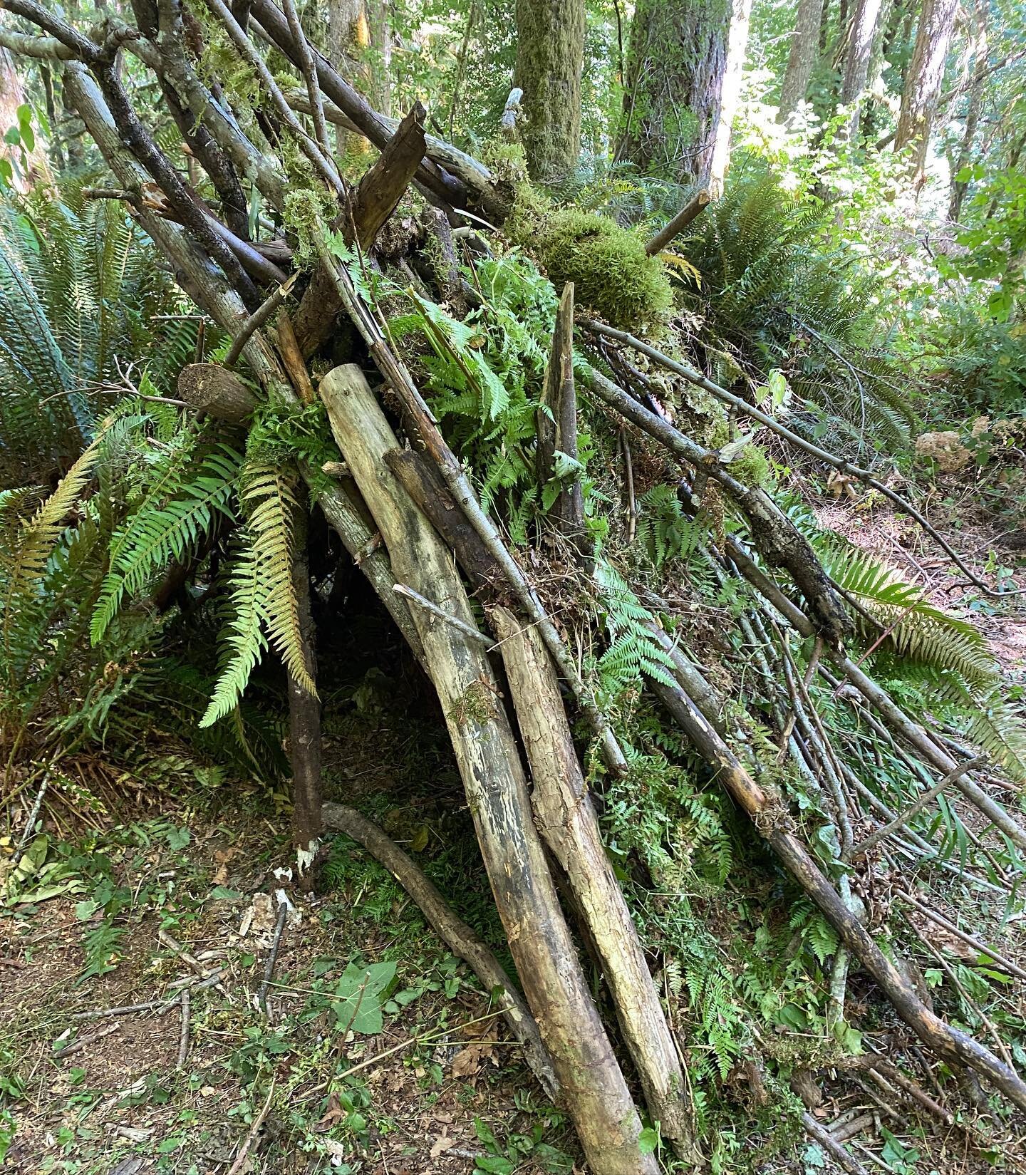 A fern shelter (they were already being torn out from the land) from class participants today. Needs more debris to be warm and dry but a fun project for the group!
.
.
.
.
.
.
#bushcraft #survival #wildcraft #pnw #deming #washington #nature #wildlif