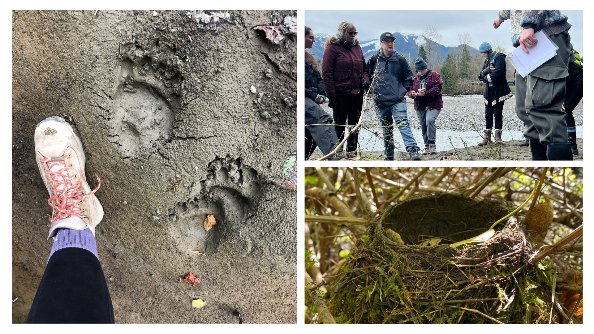 Wildlife Tracking Field Workshop | April 25 | 9:30 PM - 12:30 PM