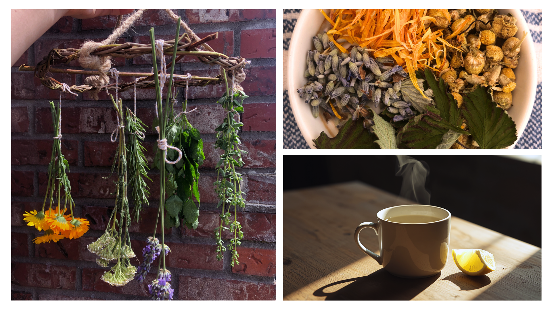 Tea making class.png