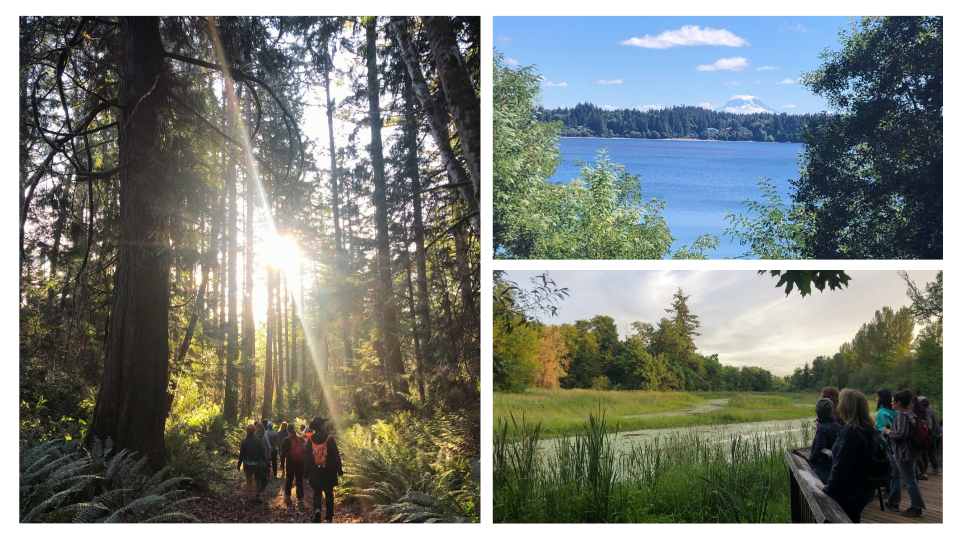 Fall 2026 Nature &amp; Survival Intensive - sundays, women only ($350)