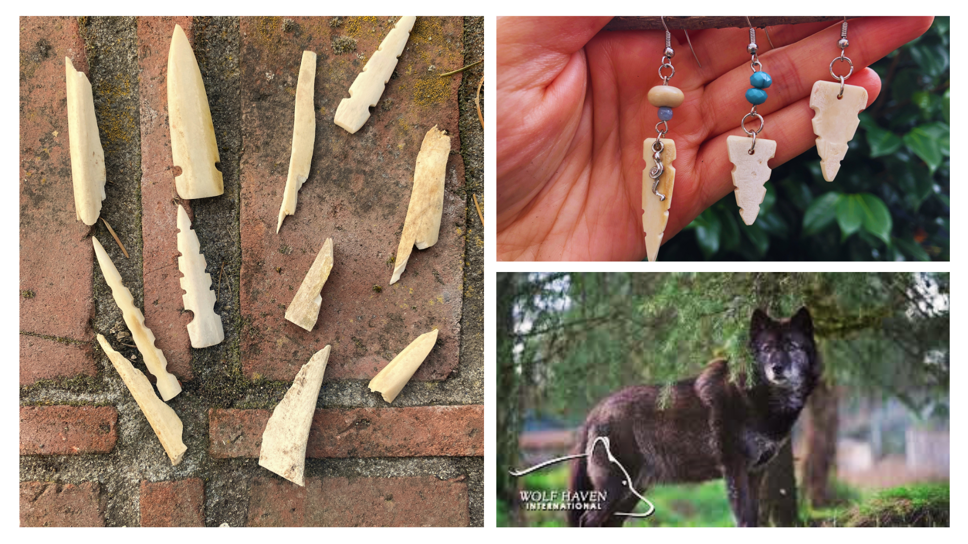 Bone Tools at Wolf Haven (1).png