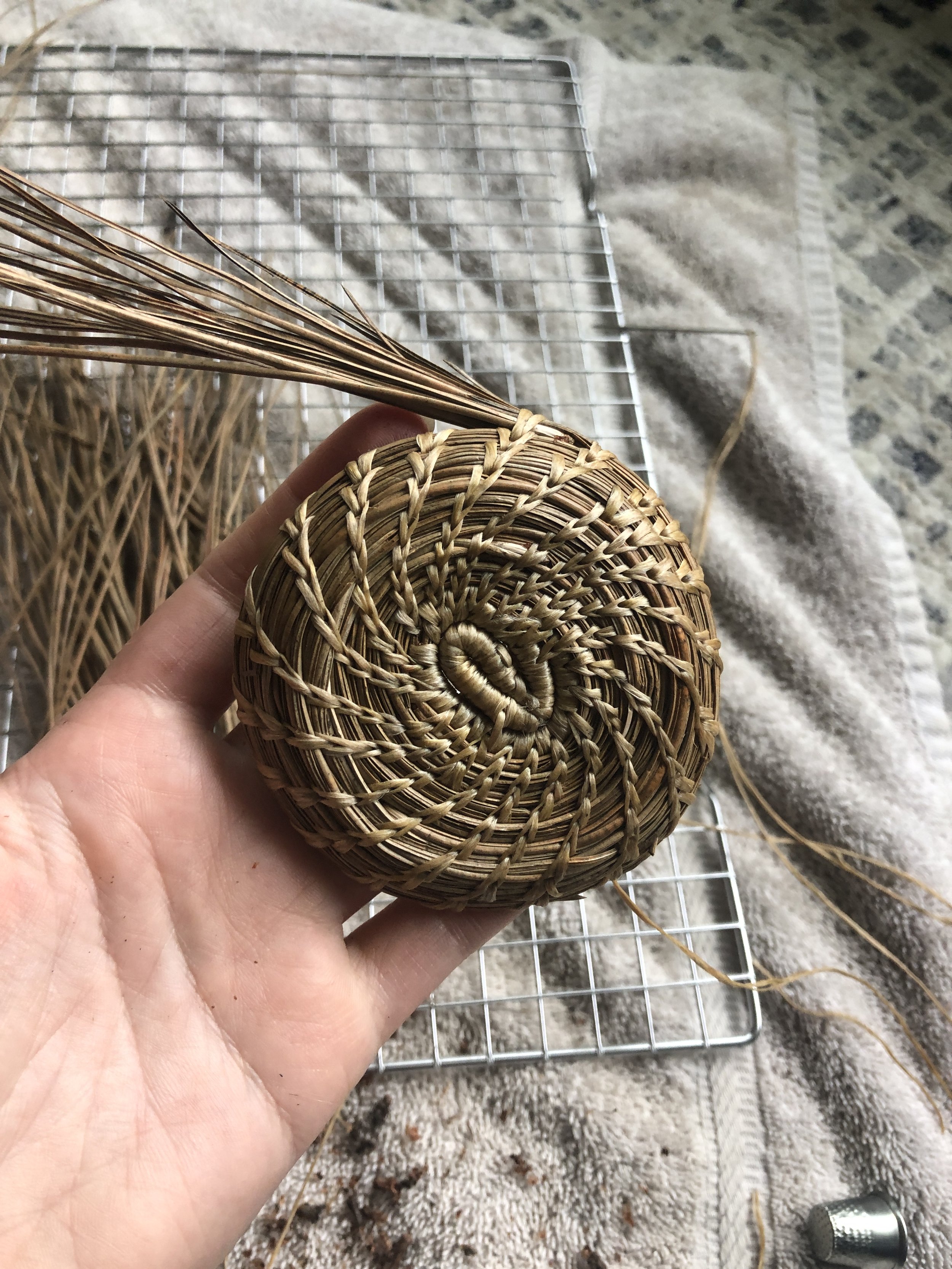pine needle coil start.JPG