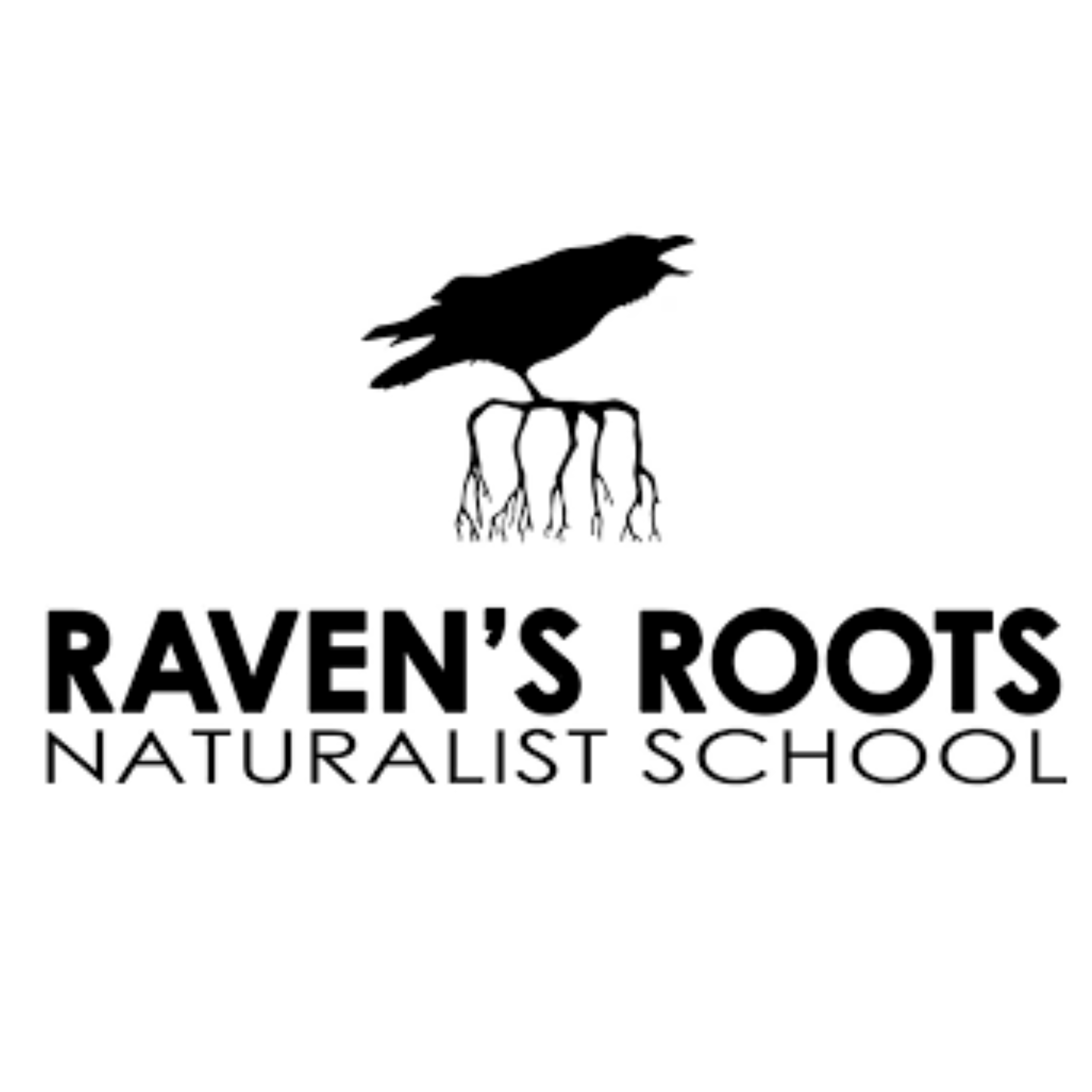 Silhouette of a raven with roots incorporated into its legs, alongside the text "Raven's Roots Naturalist School."