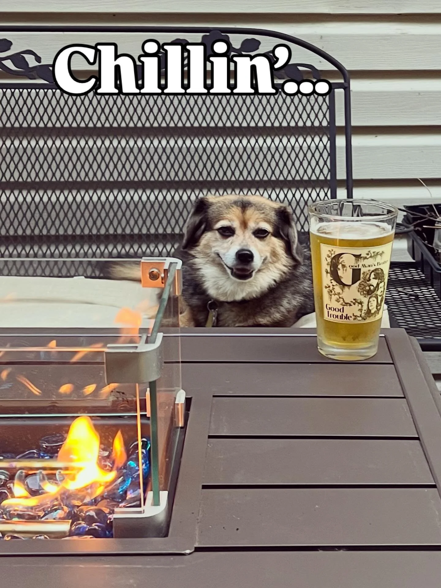 Just chilling to some tune and grilling out&hellip;. #corgi #chillin #chill