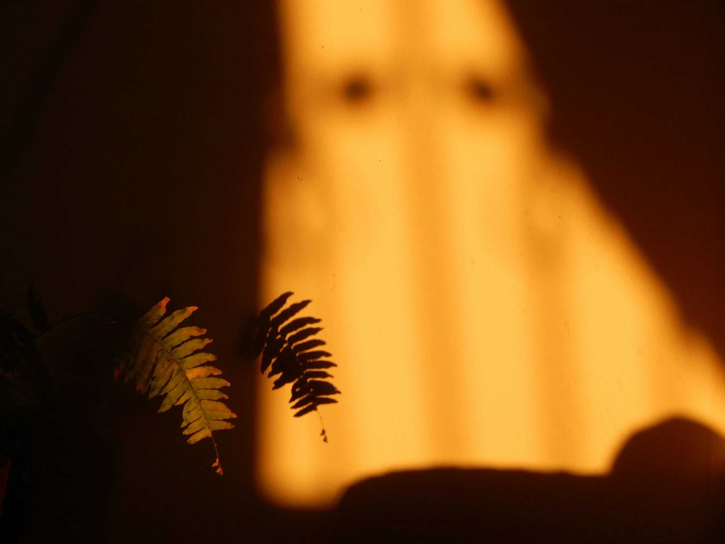 What is the Golden Shadow? The Light Side of Shadow Work