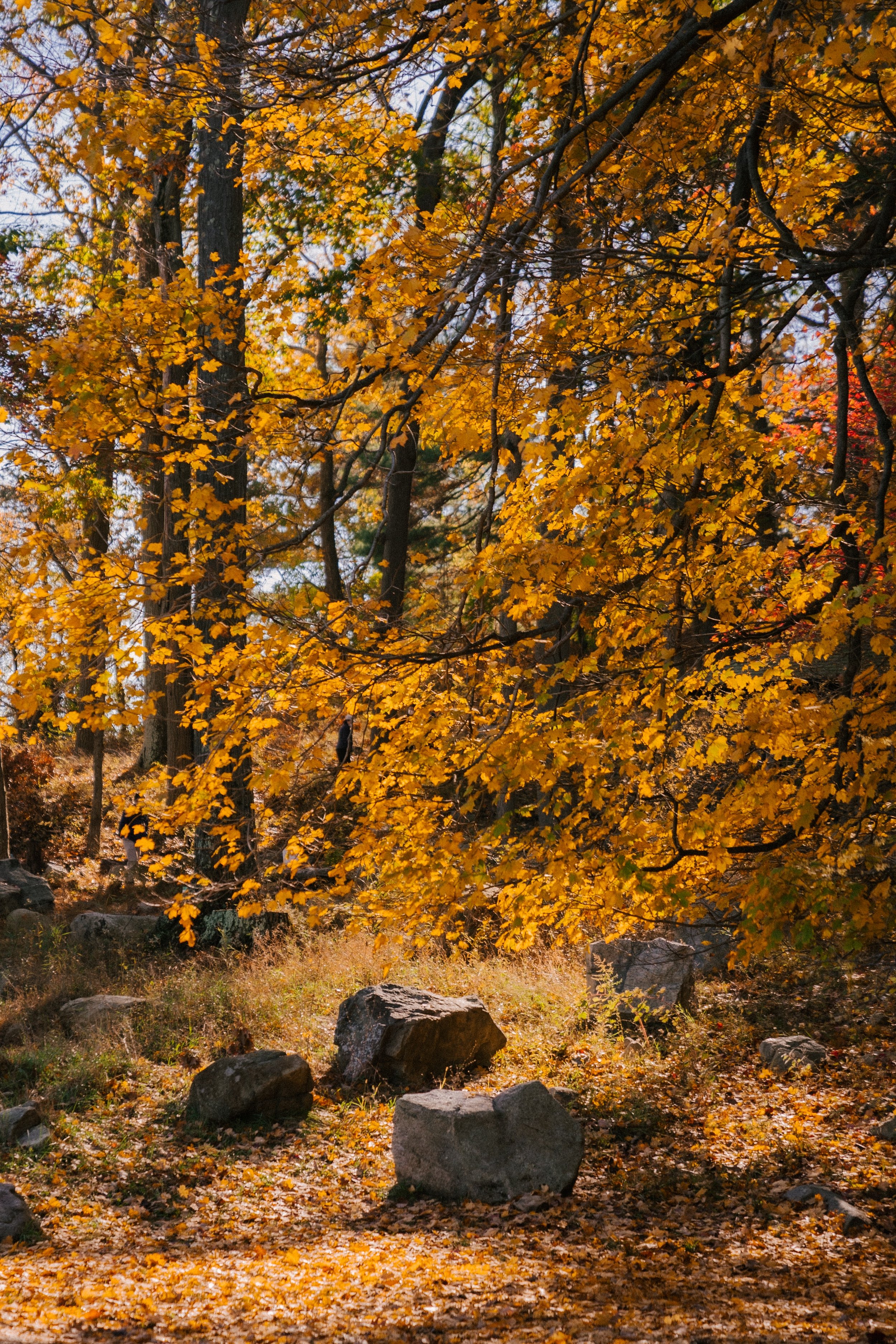 autumn-season-oklahoma-wilderness
