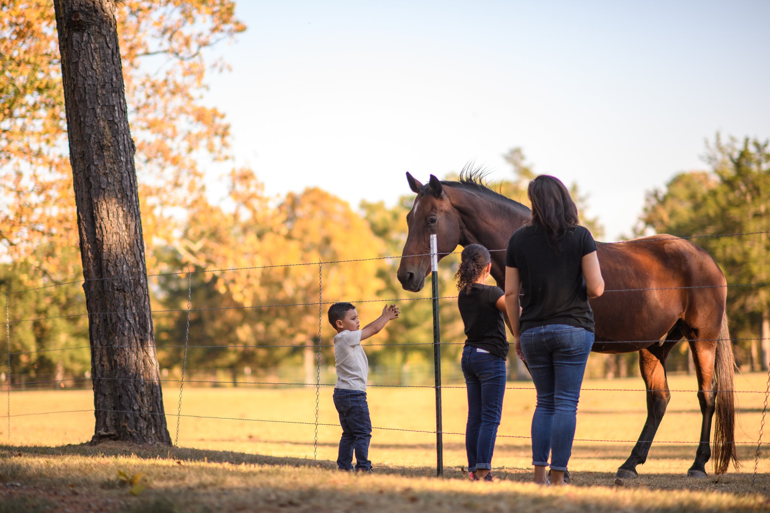 horse-friendly-community-oklahoma