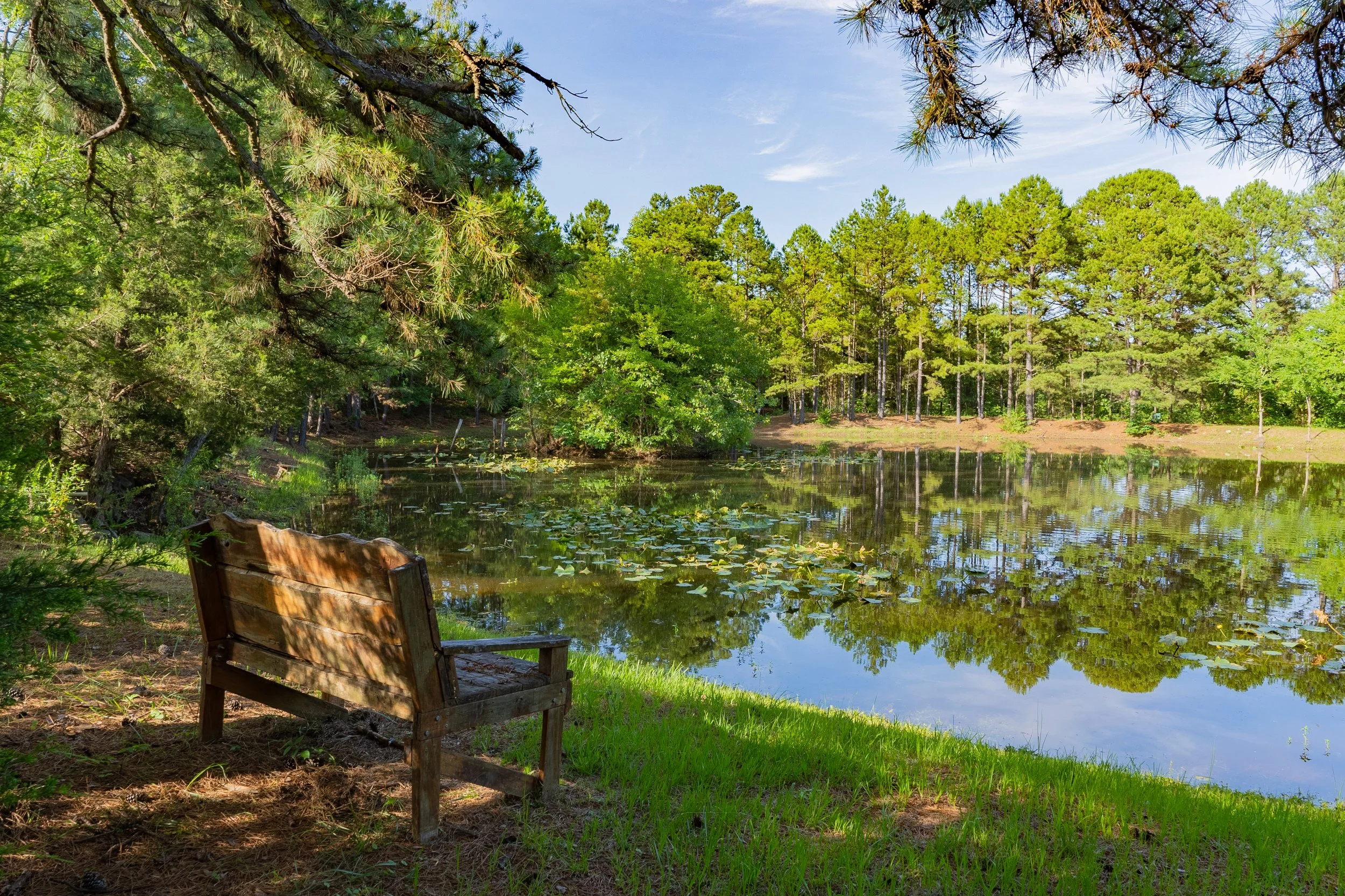 DSC00945-HDR.jpg