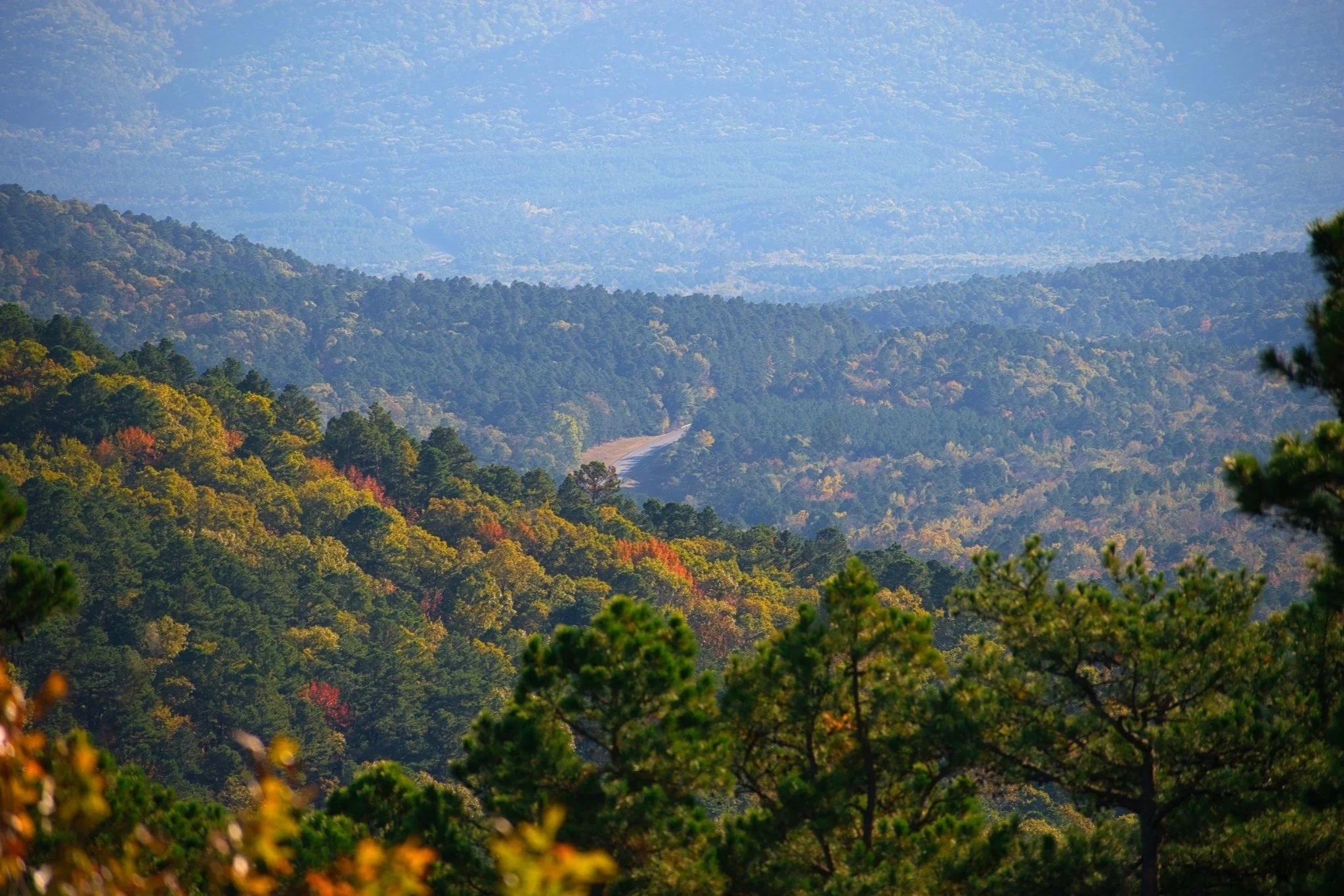 Before You Build: How to Get to Know Your Land
