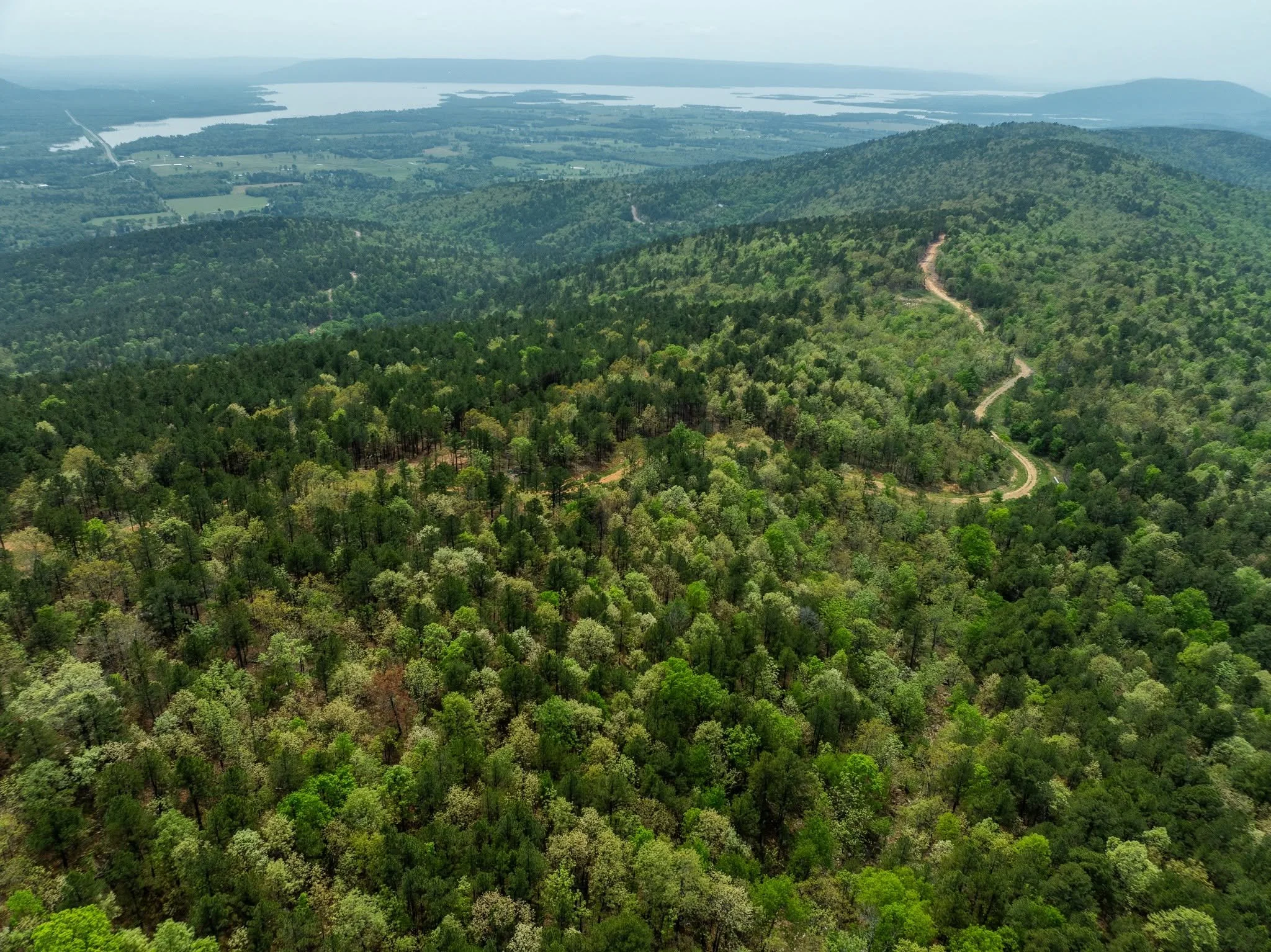 Aerial view of wooded land with winding roads and surrounding hills.