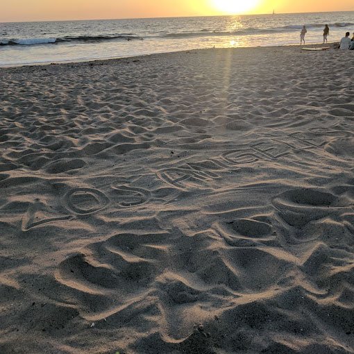 Ocean Park Blvd Santa Monica, at the beach