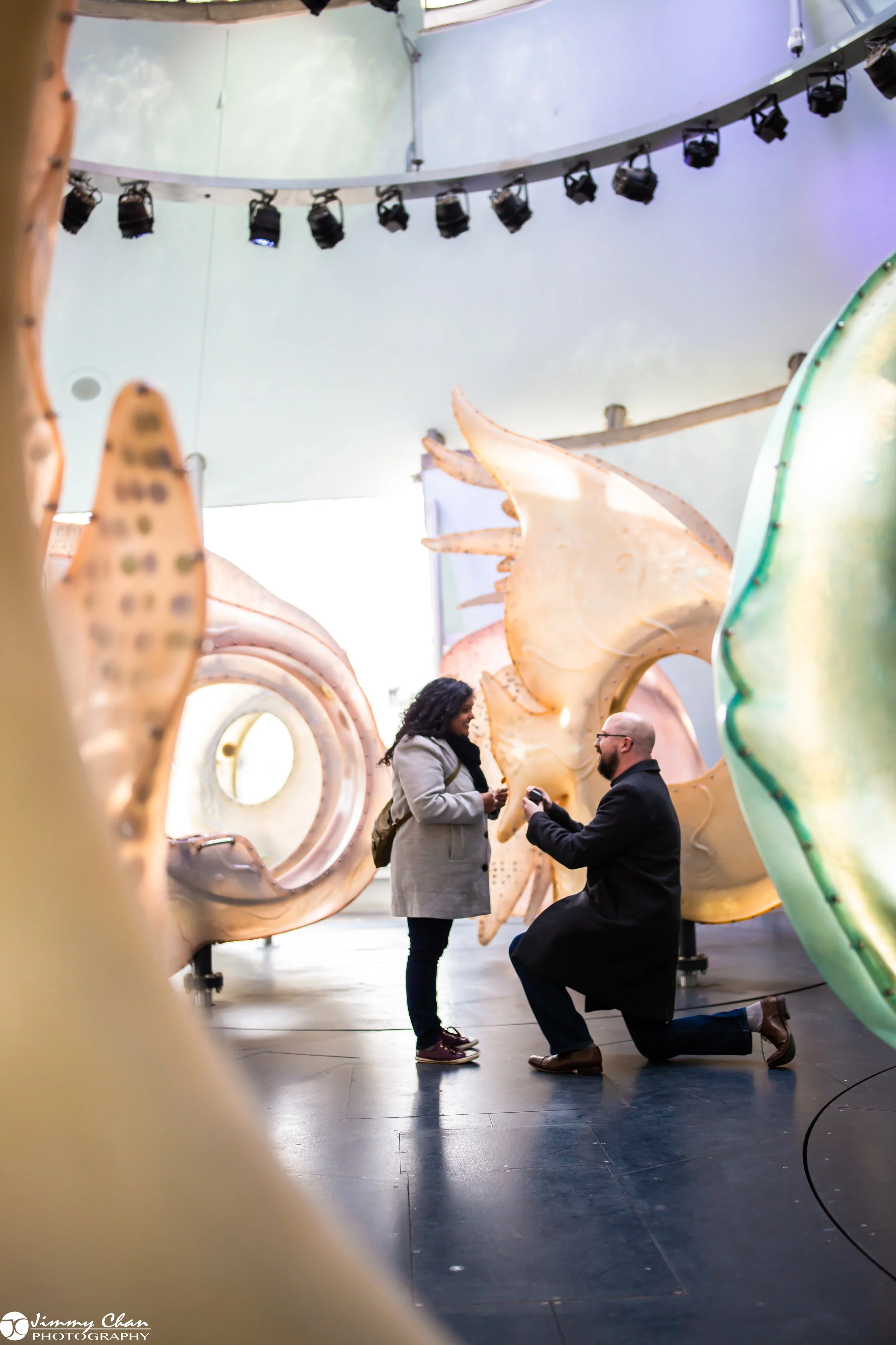 Phillip & Aarti Surprise Proposal - W-1.jpg