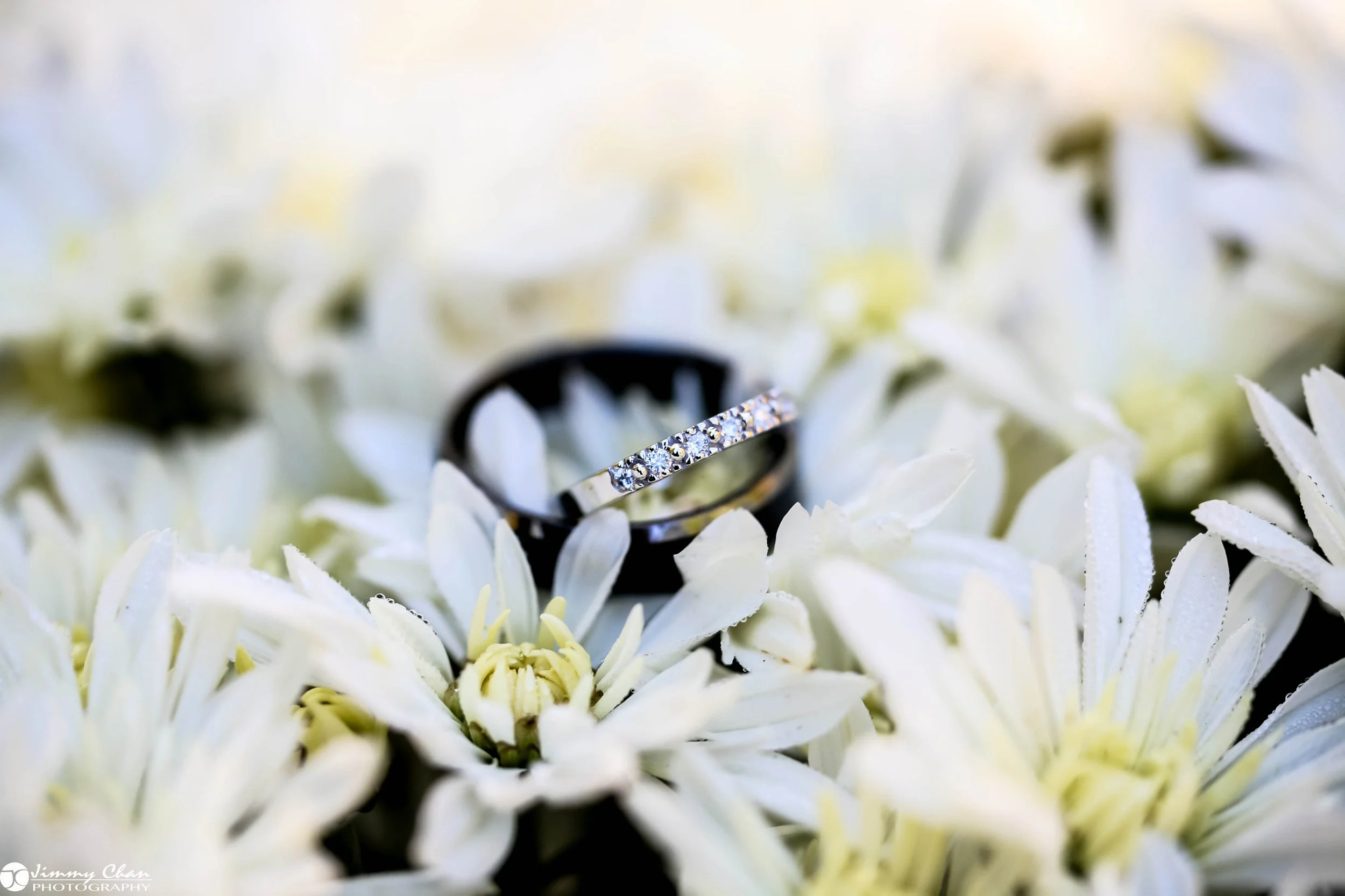 Lauren and Tommy-1.3.jpg