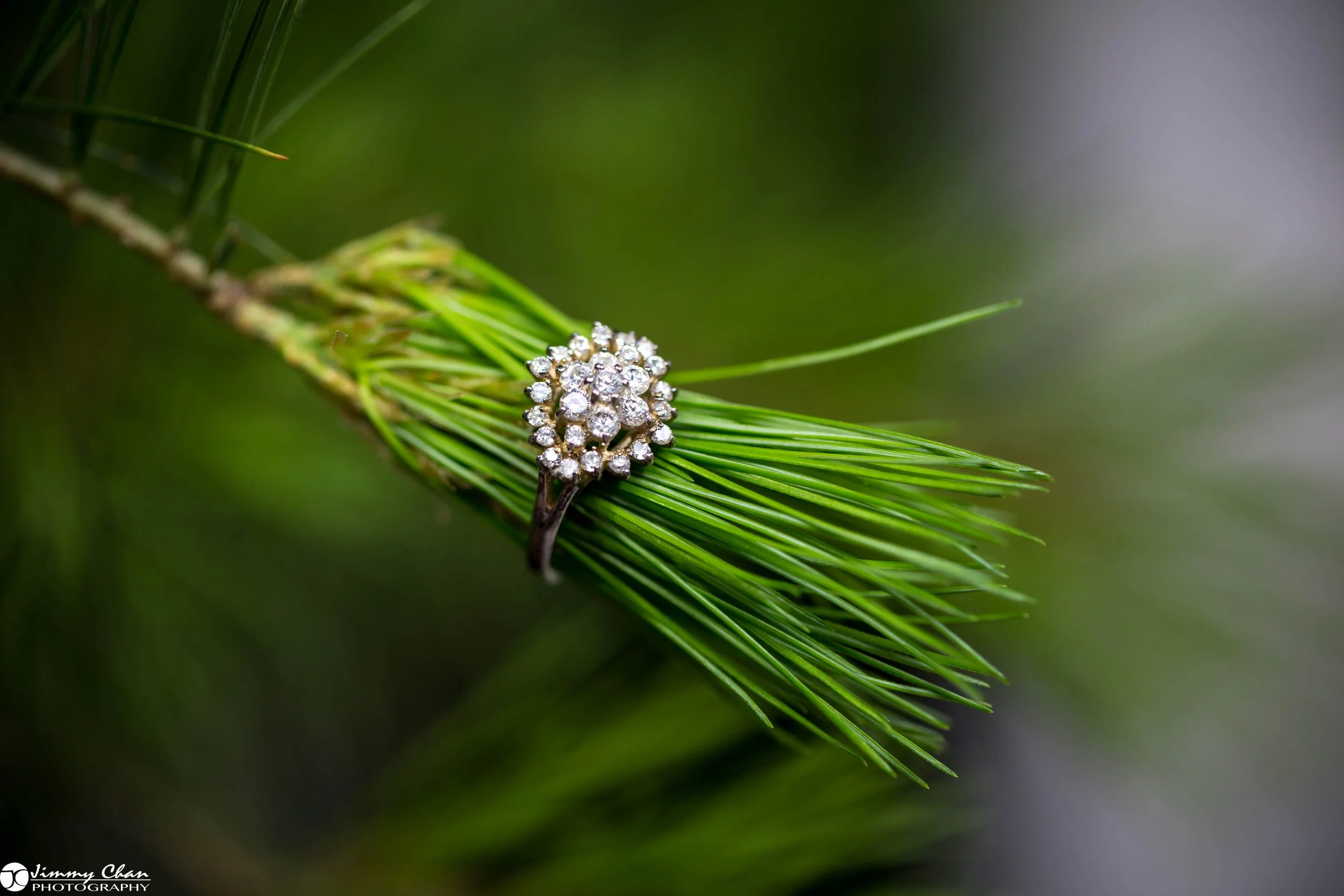 Bespoke Jewelry Ring Collection-66.jpg