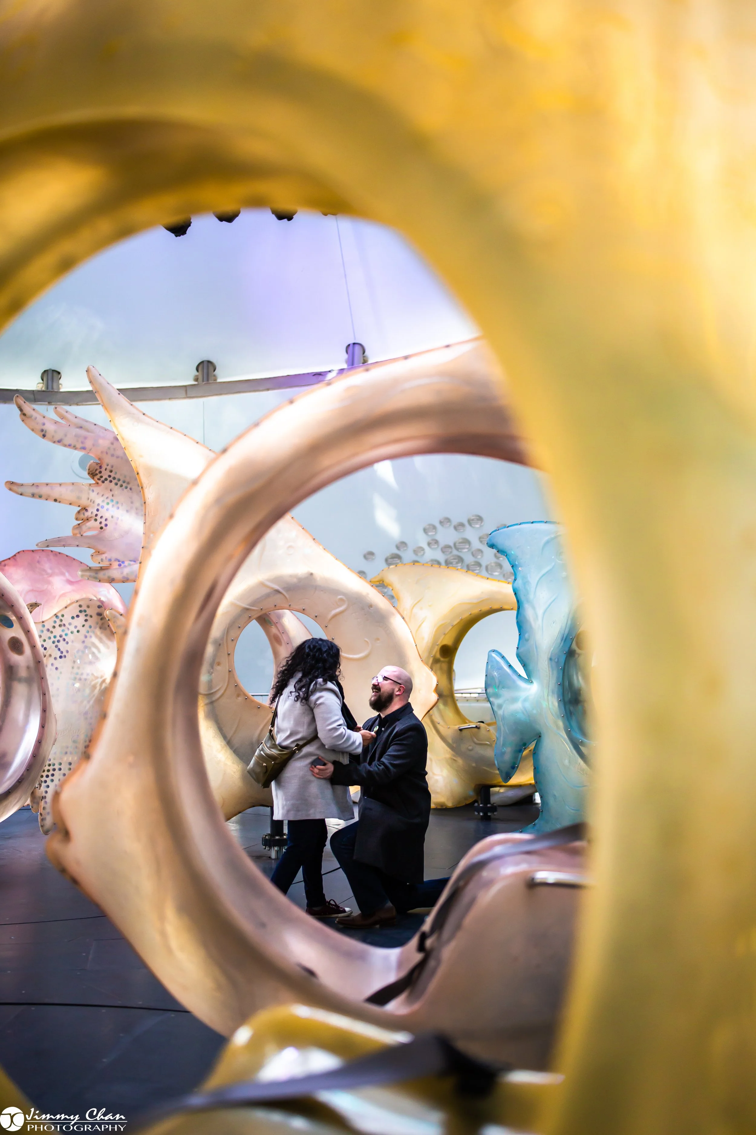 Phillip & Aarti Surprise Proposal - W-12.jpg