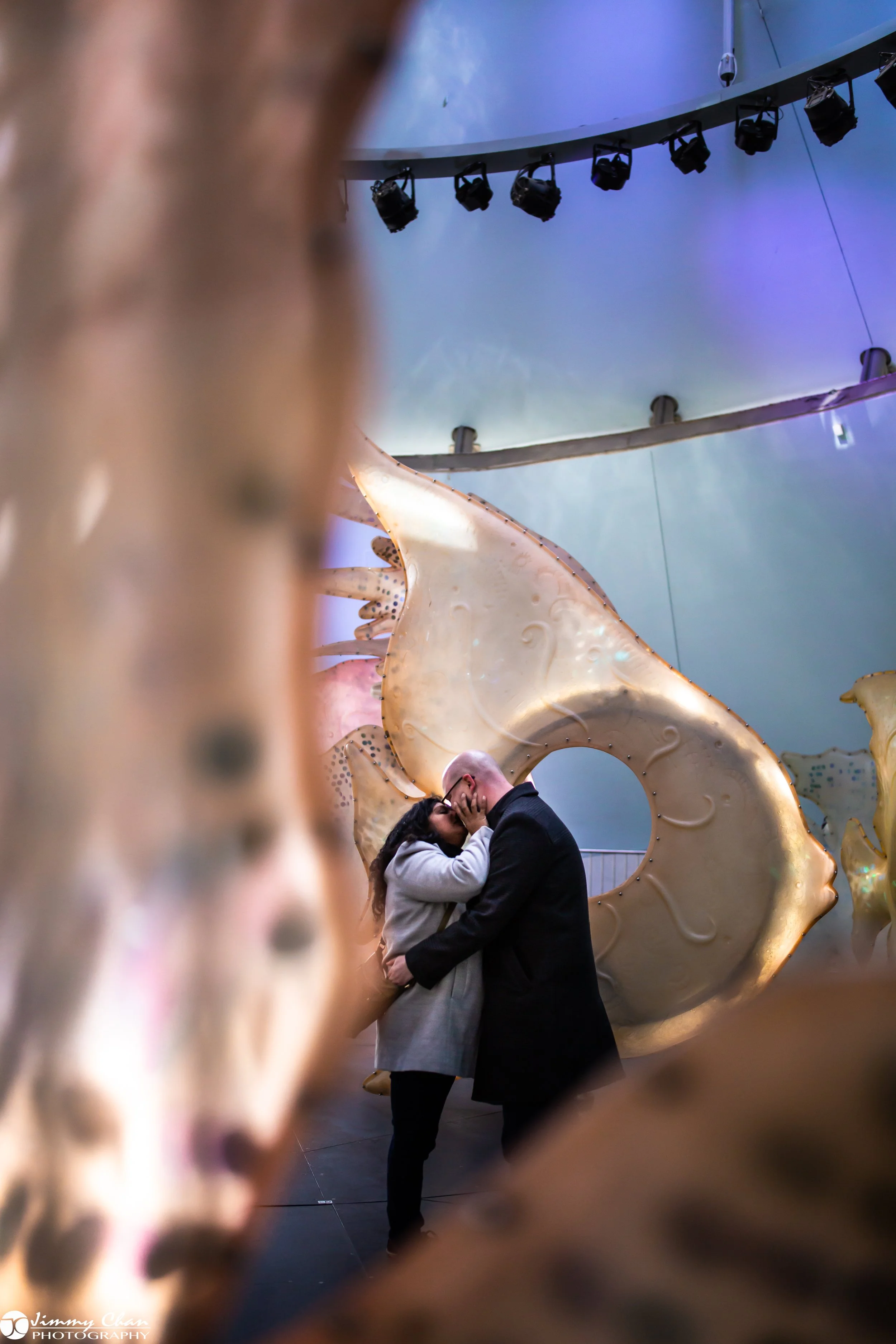 Phillip & Aarti Surprise Proposal - W-24.jpg
