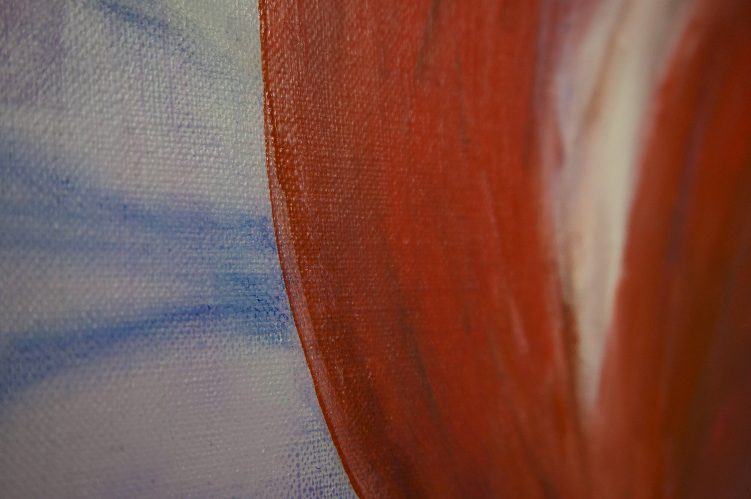 rose hip oil collection wall art detail.jpeg