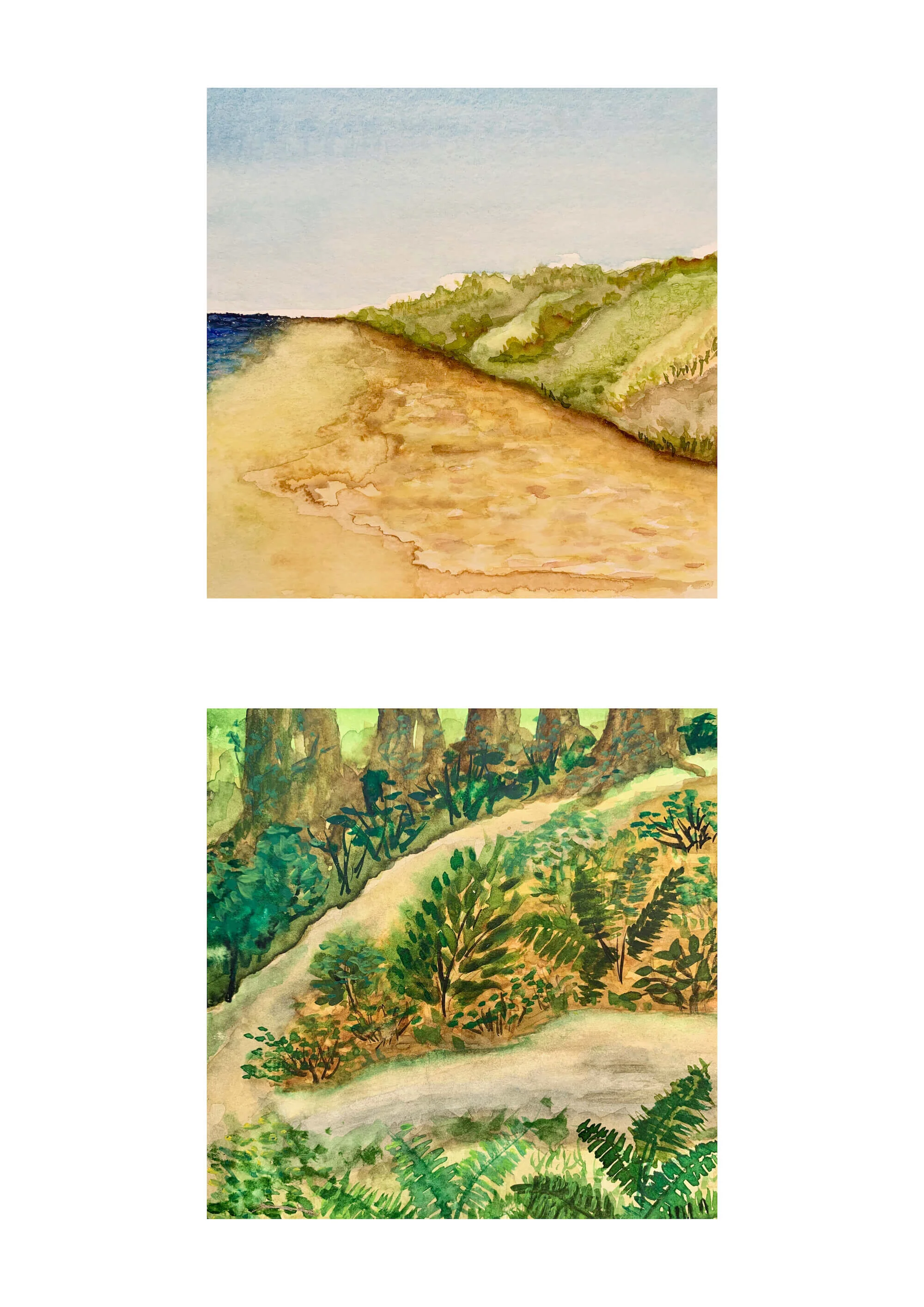 FOREST AND BEACH