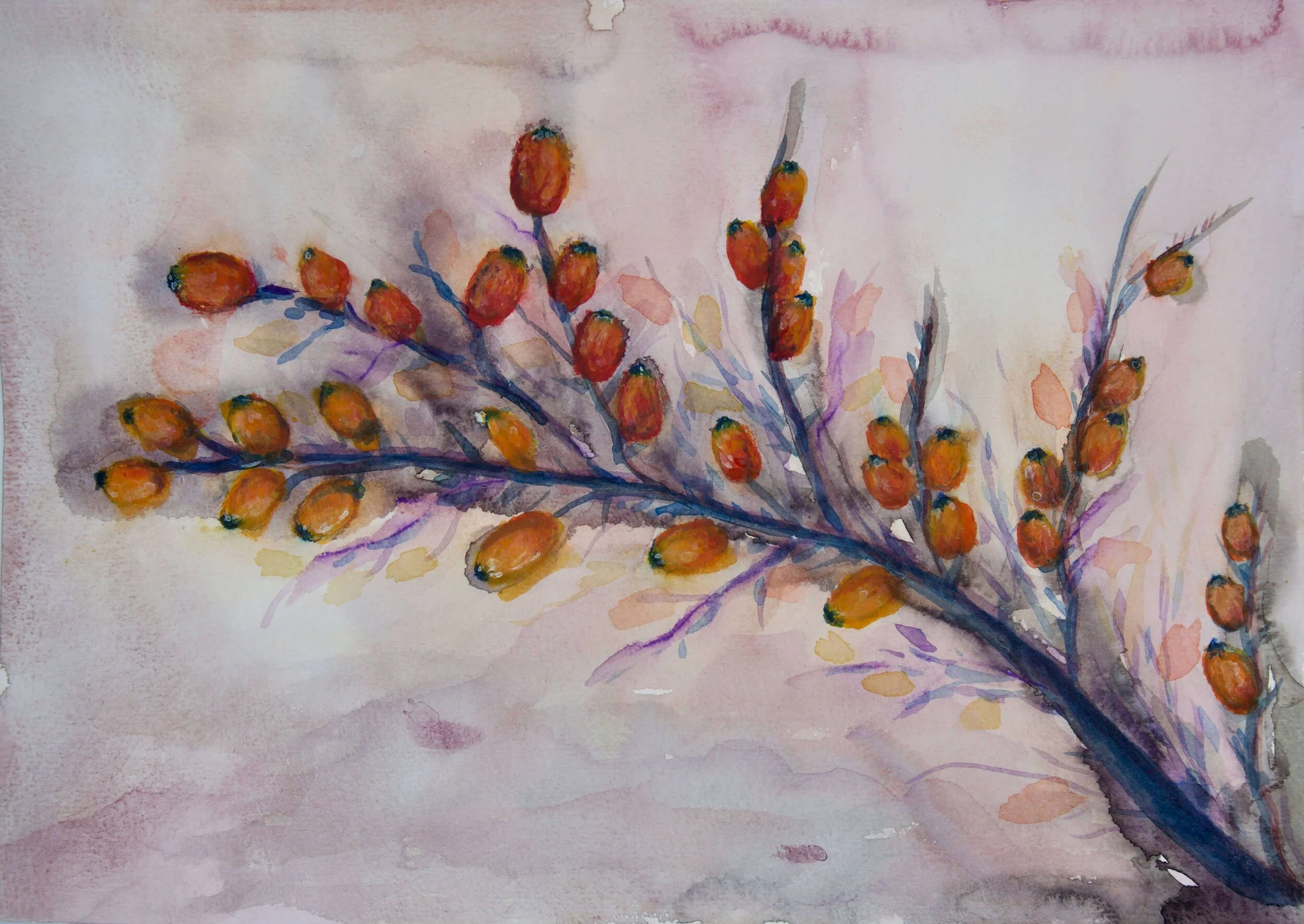 MACRO GARDEN VOL.6&nbsp;(2021)