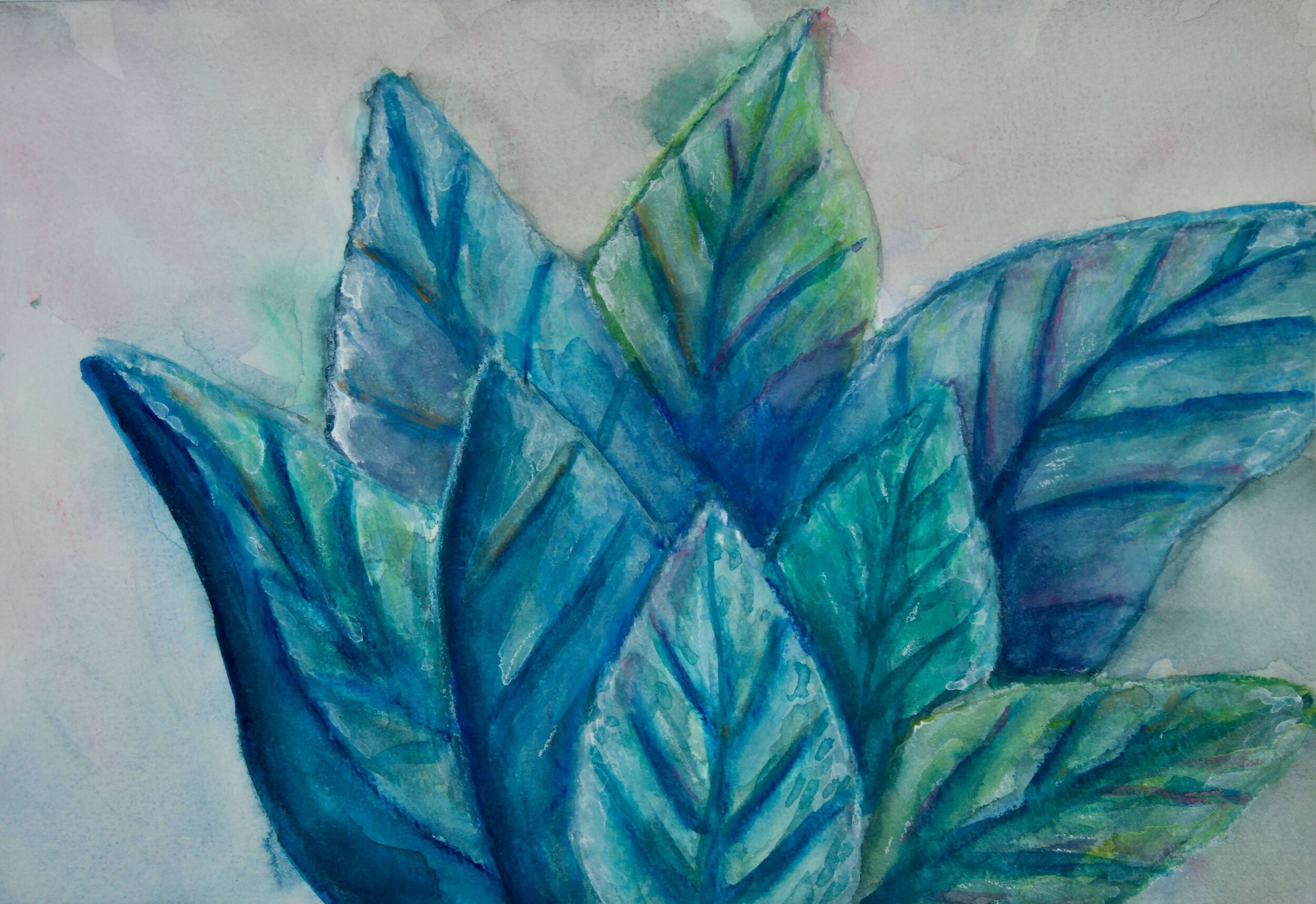 MACRO GARDEN VOL.5 (2021)