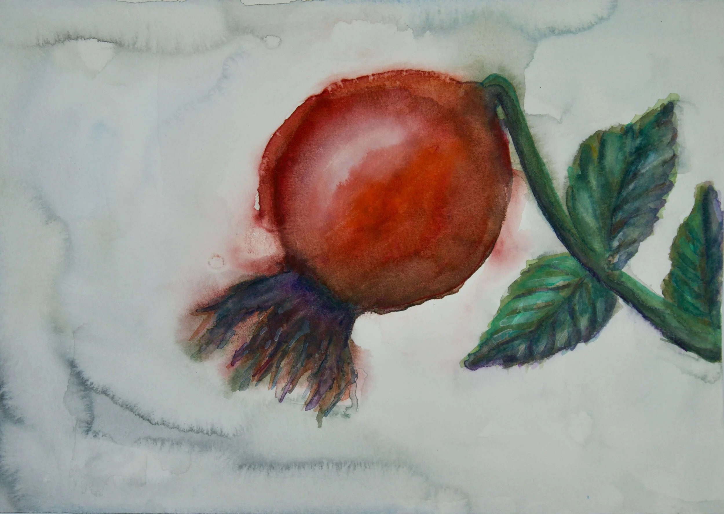 MACRO GARDEN VOL.1 (2021)