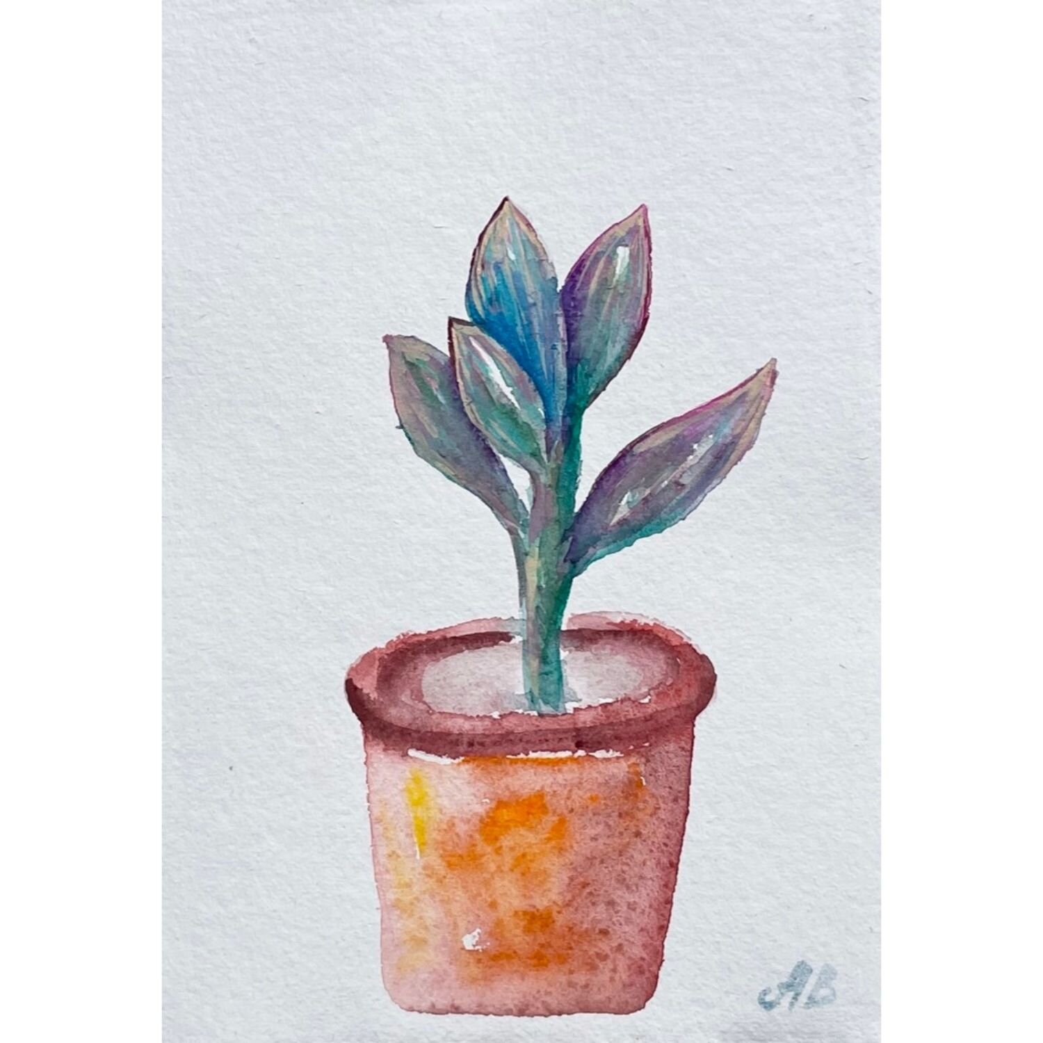 Plant 1