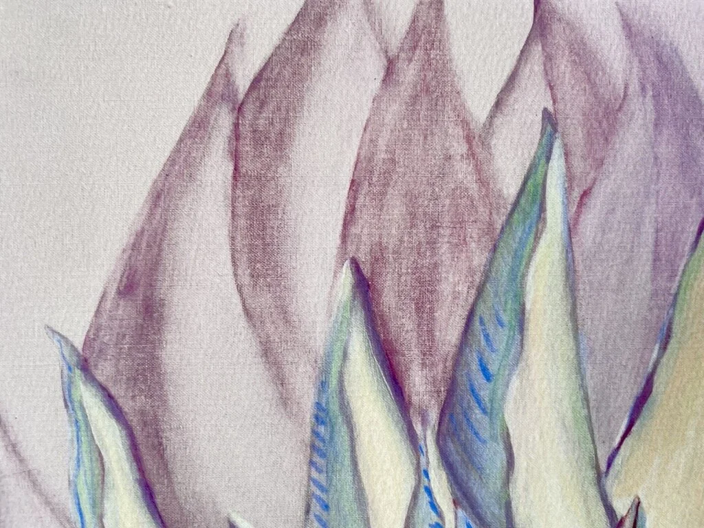macro garden vol 4 art.JPG