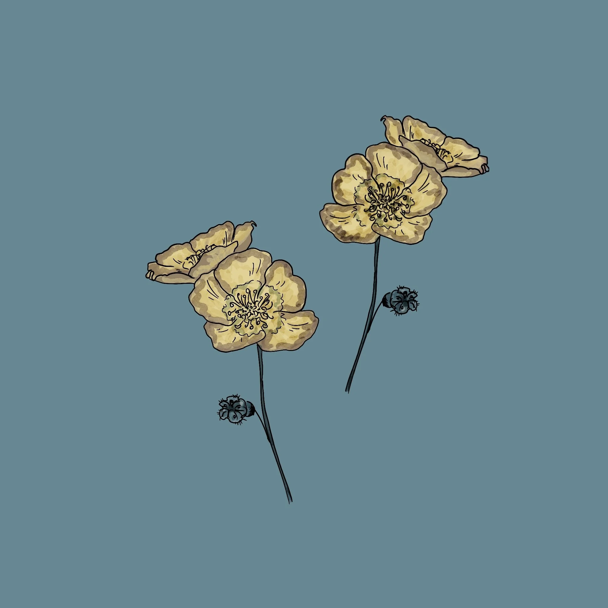 My_Sweet_Meadow_Vol.2.jpg