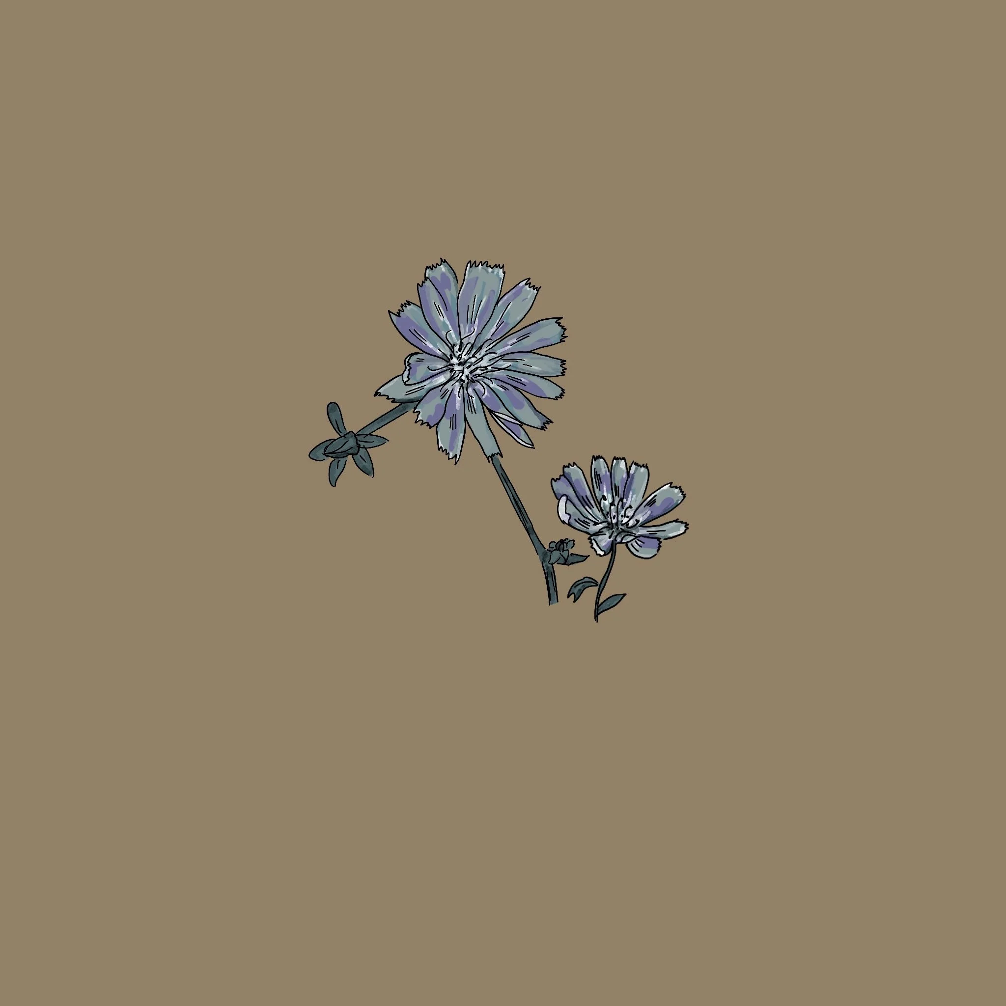My_Sweet_Meadow_Vol.3.jpg