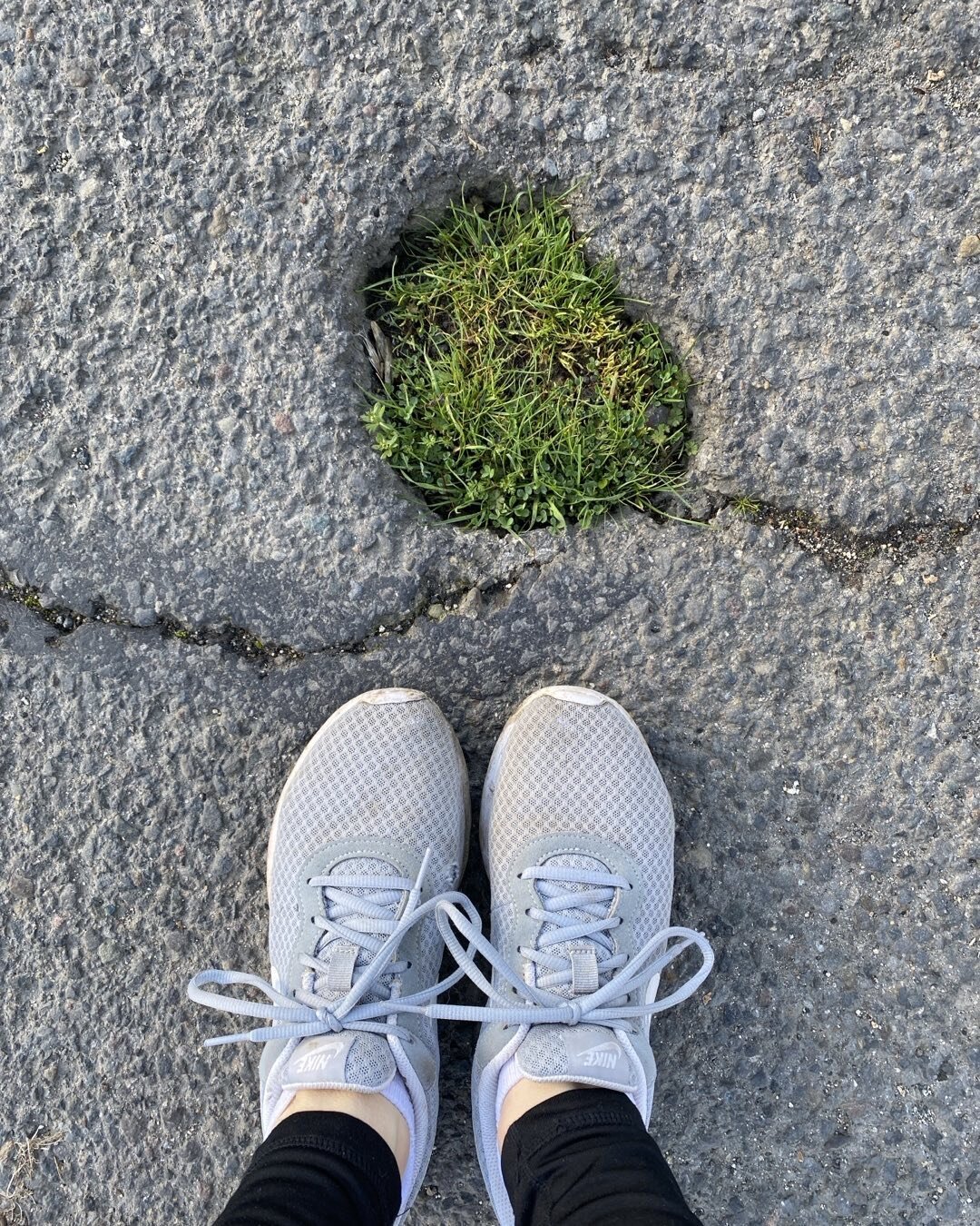 I saw this tiny patch of grass in the middle of the street on my walk the other morning. Looking at it, I had the thought &ldquo;nature abhors a vacuum.&rdquo;

It&rsquo;s impressive, and amazing that life can persist with the very smallest of openin