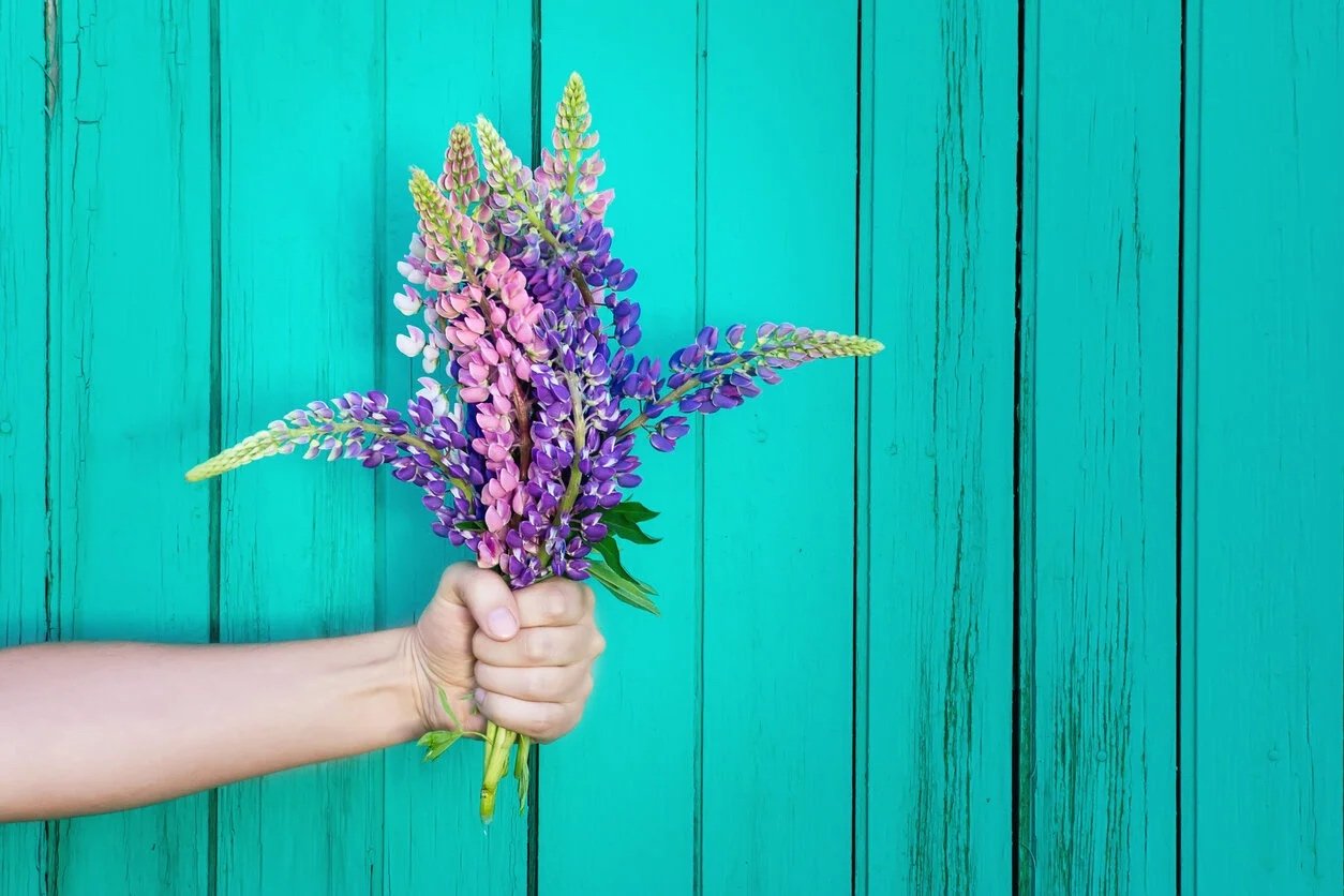 Giving and Forgiving: No Strings Attached