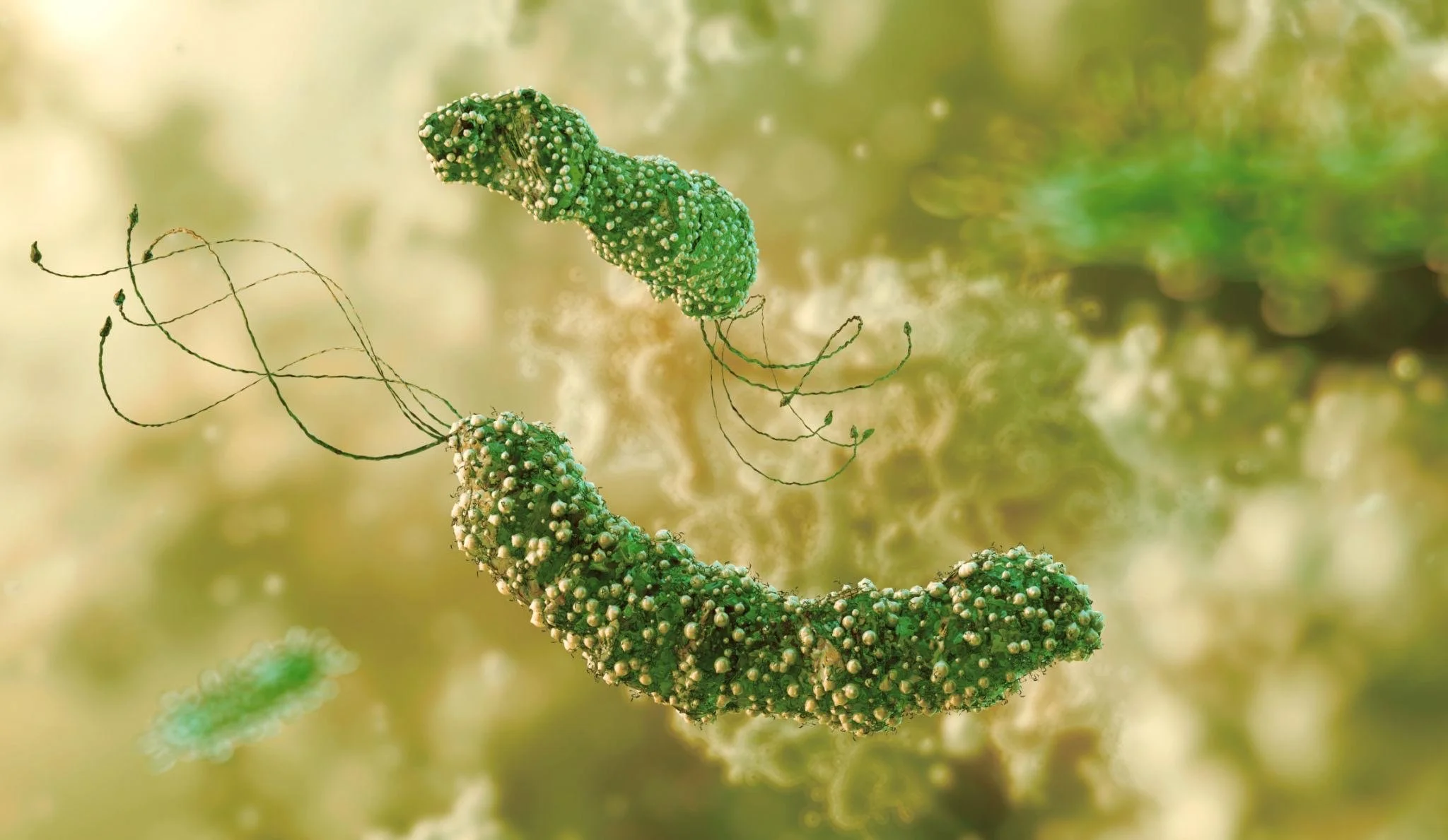 The hidden root of your gut symptoms