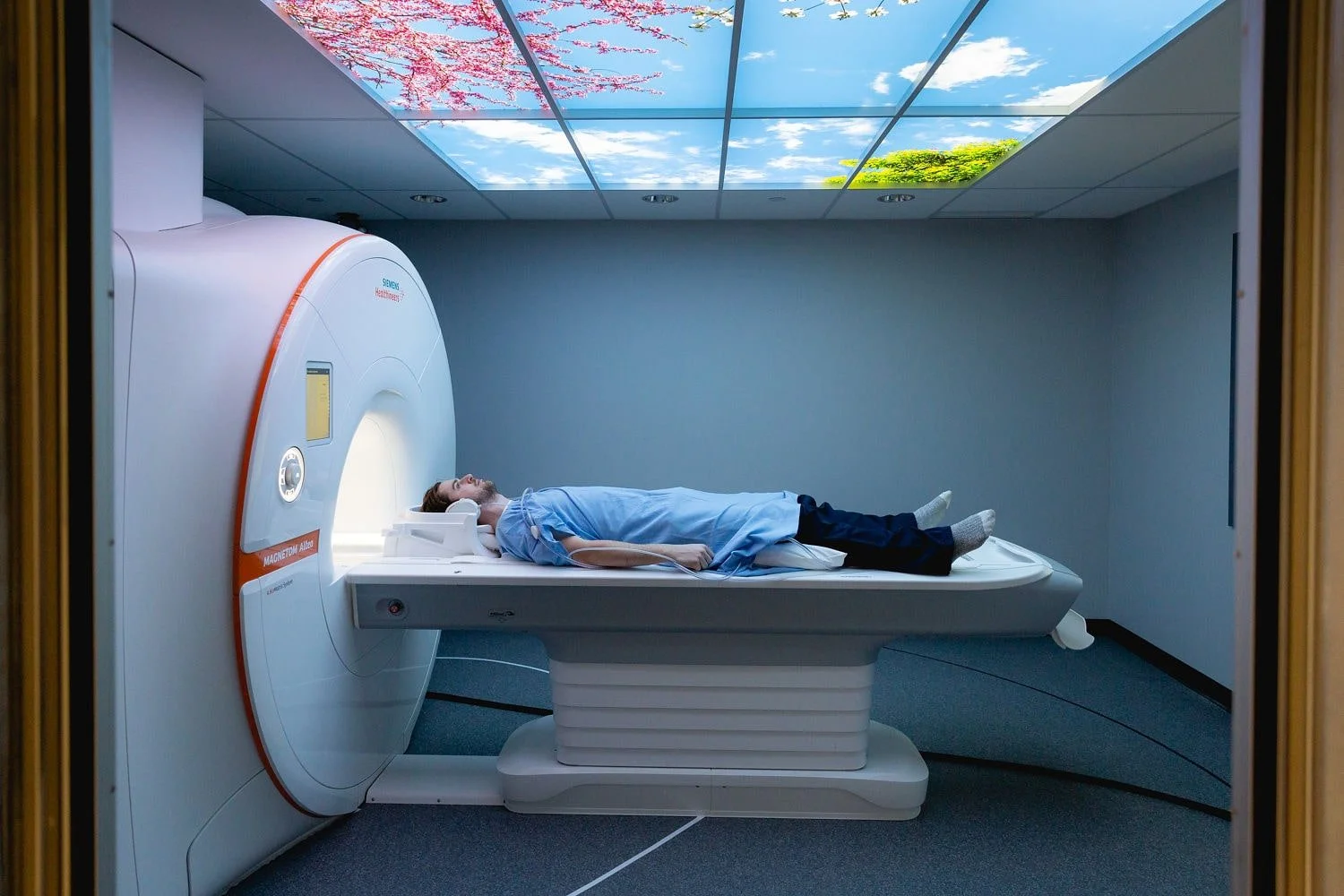 Imaging and Diagnostics — Elysian Health