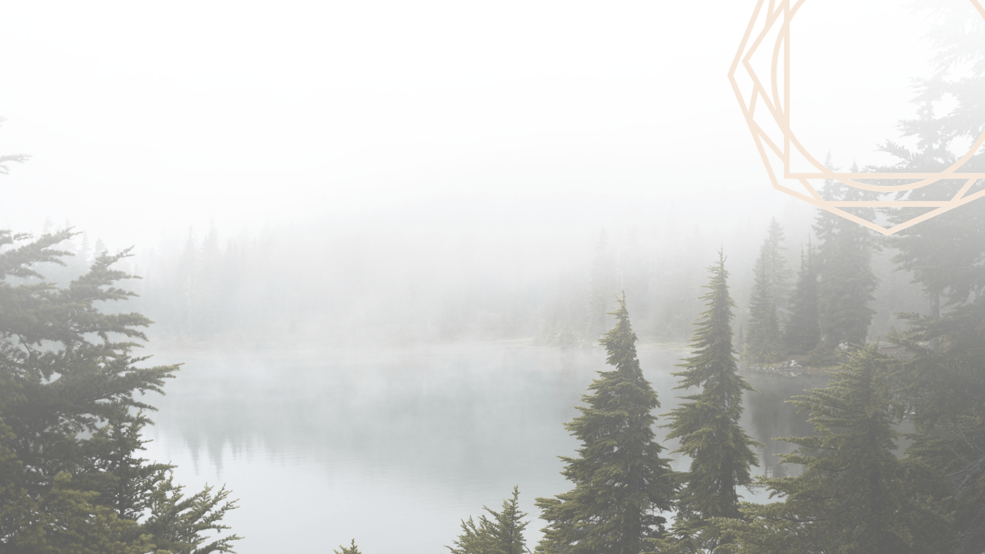 About Us — Elysian Health
